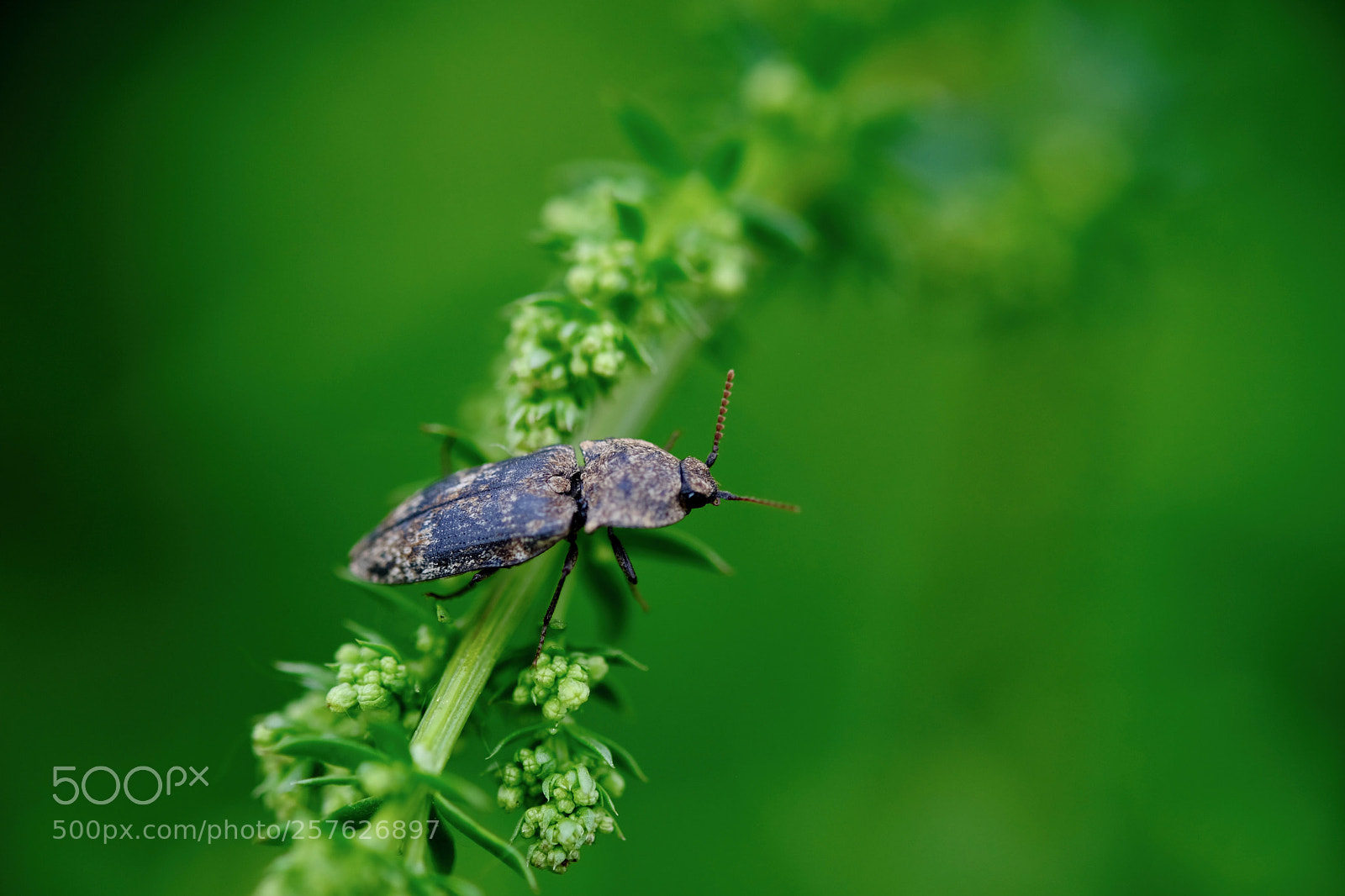 Fujifilm X-T2 sample photo. . photography