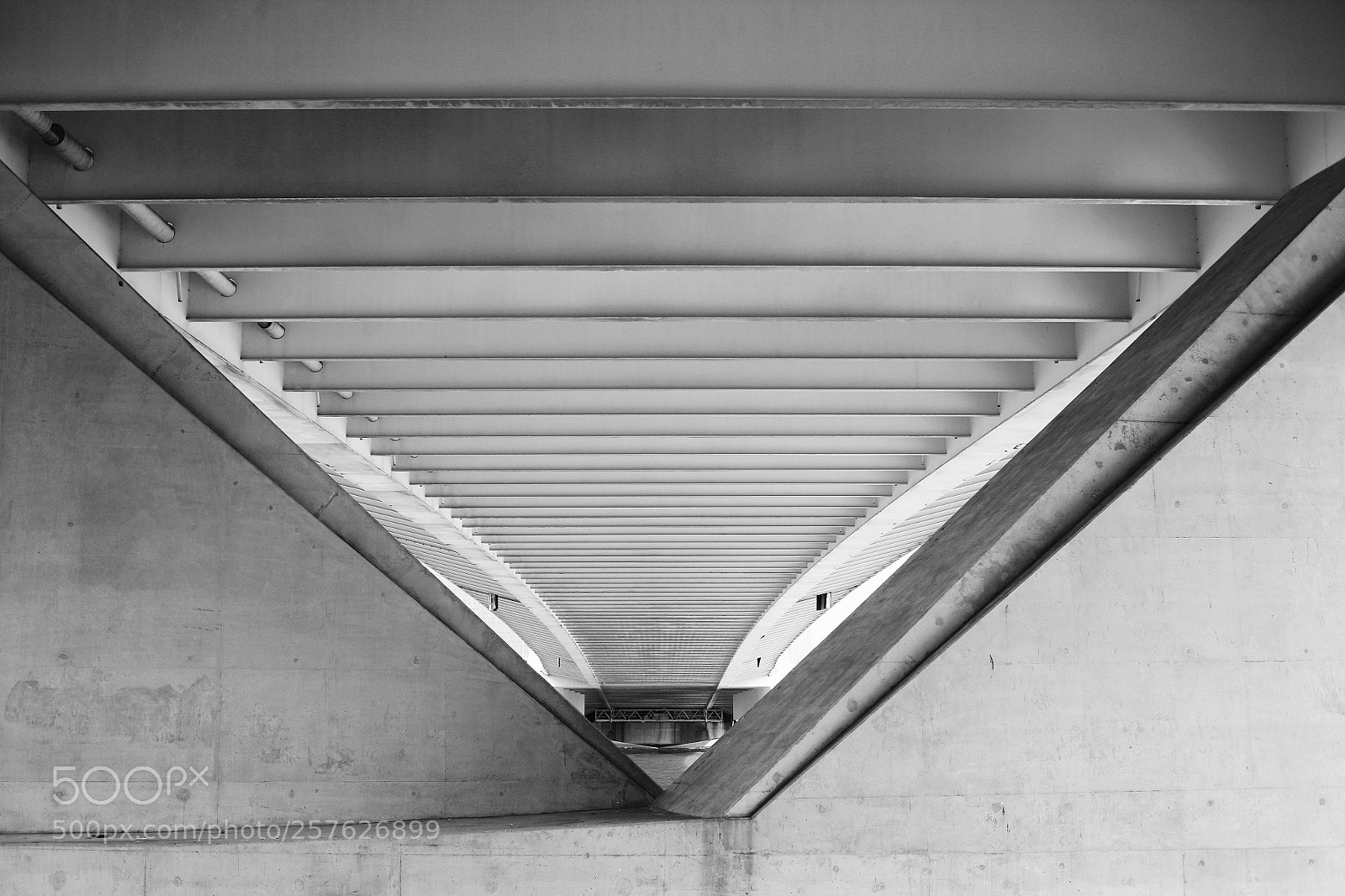 Canon EOS 5D sample photo. Erasmusbrug photography