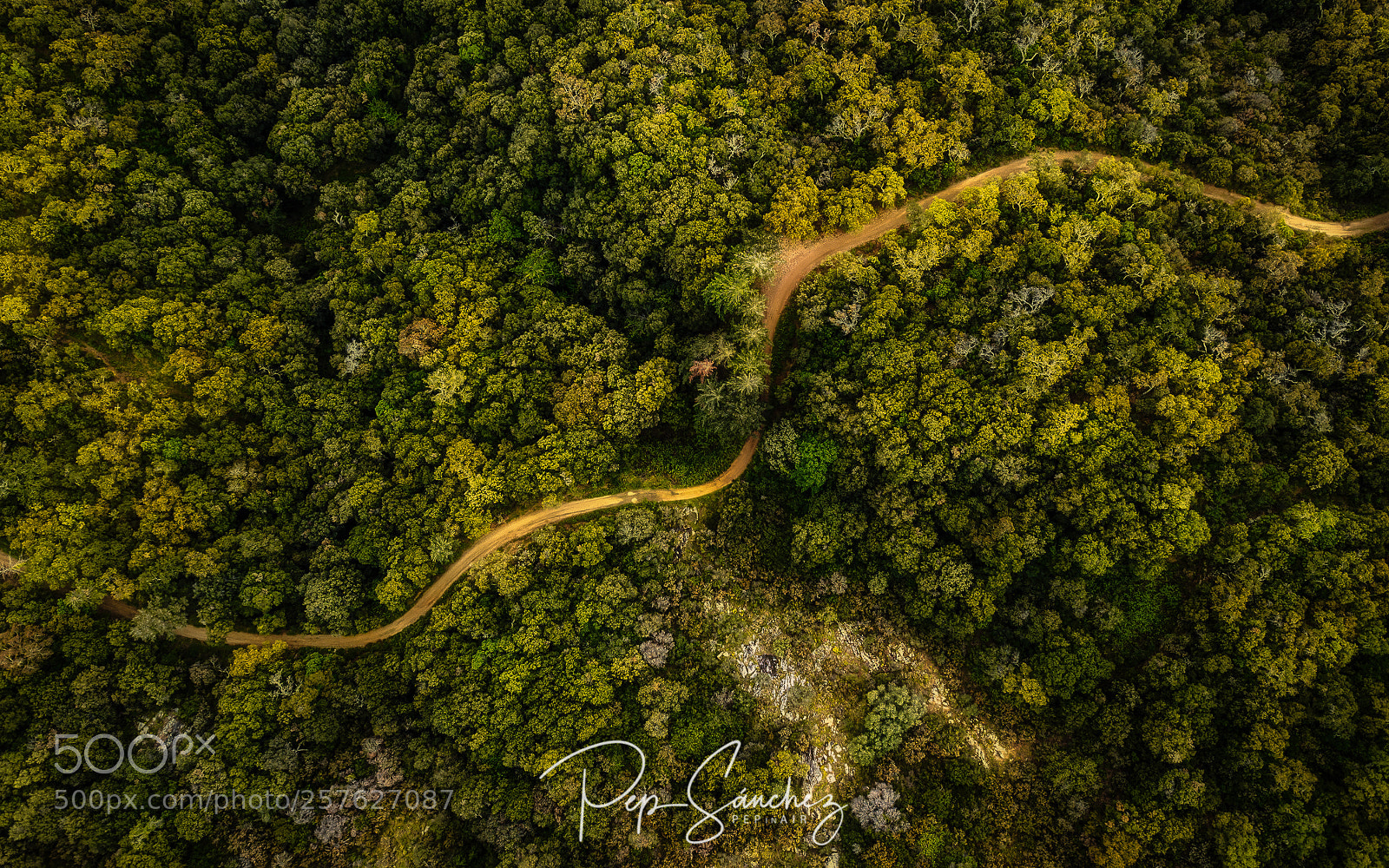 DJI FC220 sample photo. Road to montsoriu photography