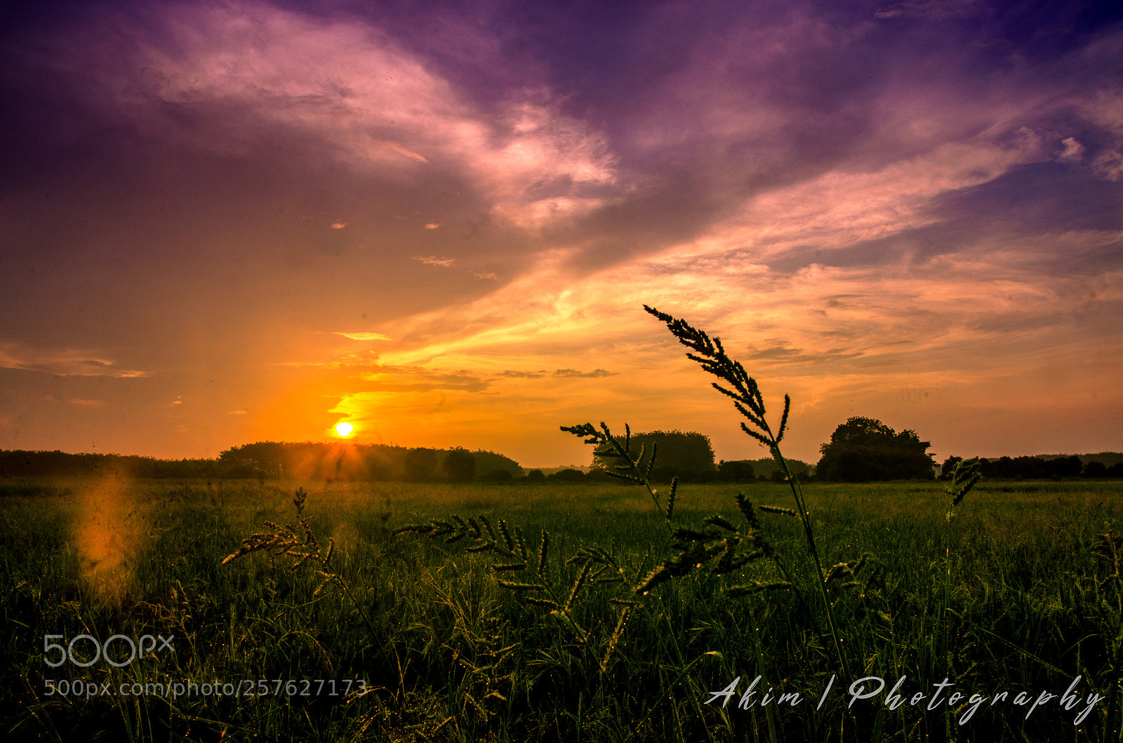 Nikon D5100 sample photo. Sunrise 2 photography