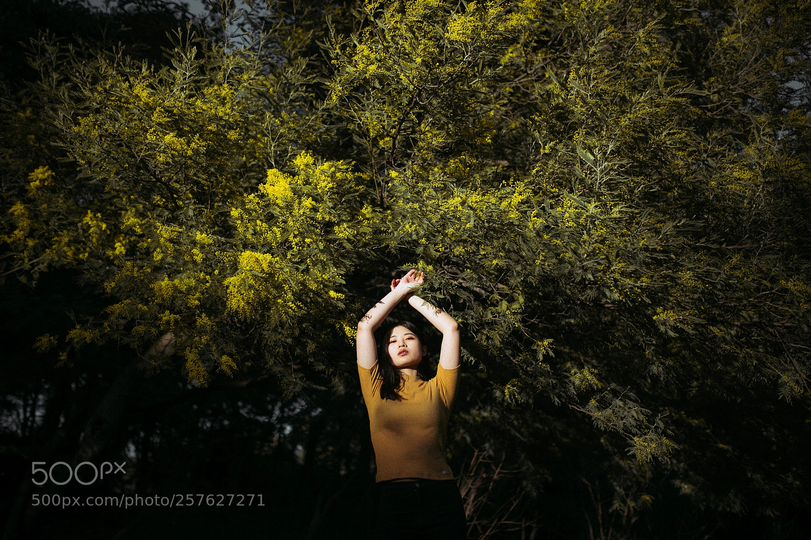 Canon EOS 6D sample photo. Yao photography