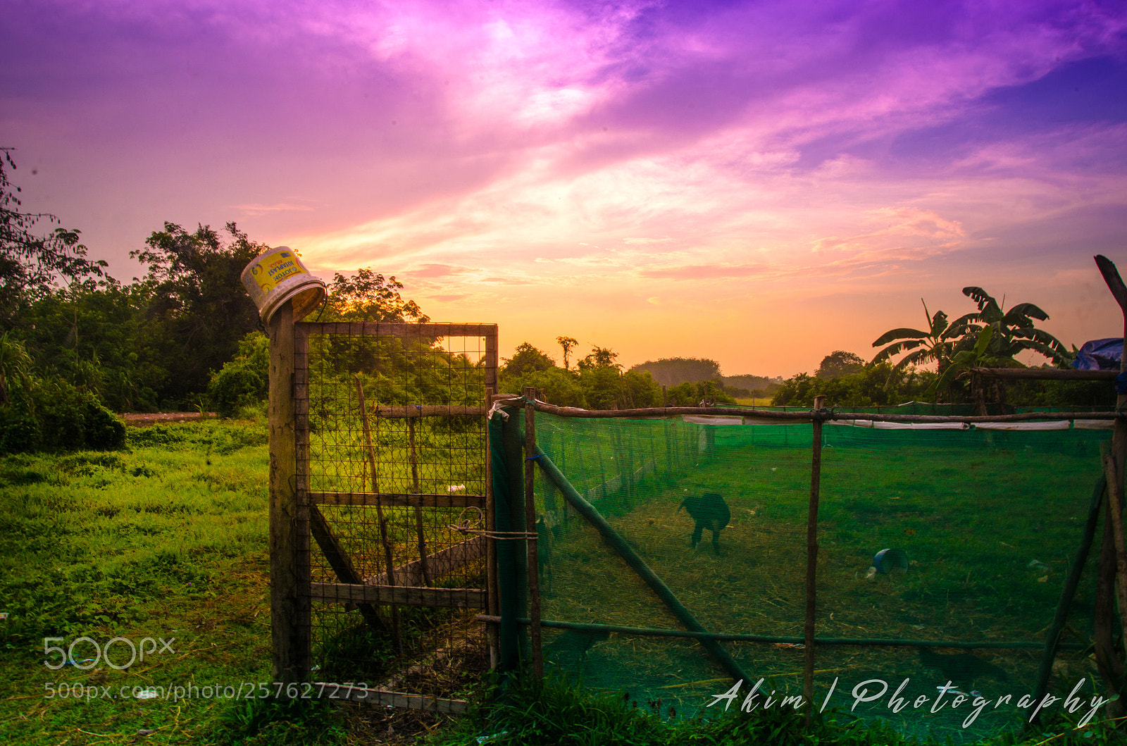 Nikon D5100 sample photo. Subrise 3 photography