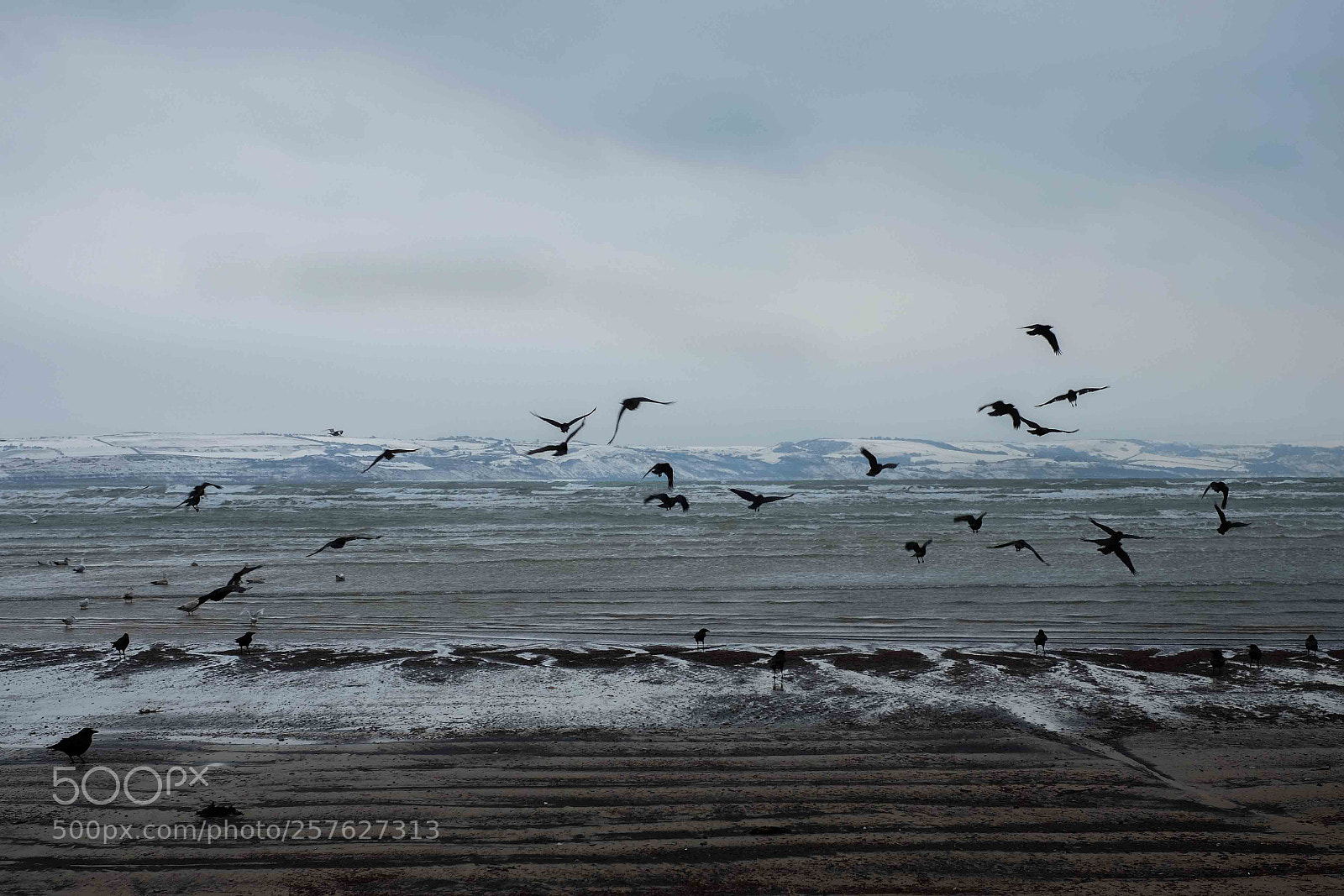 Fujifilm X-T10 sample photo. Waymouth by the sea photography