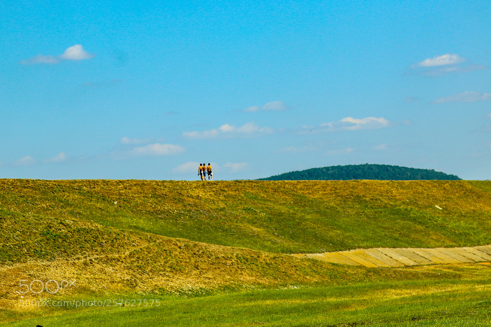 Canon EOS 70D sample photo. Untitled photography