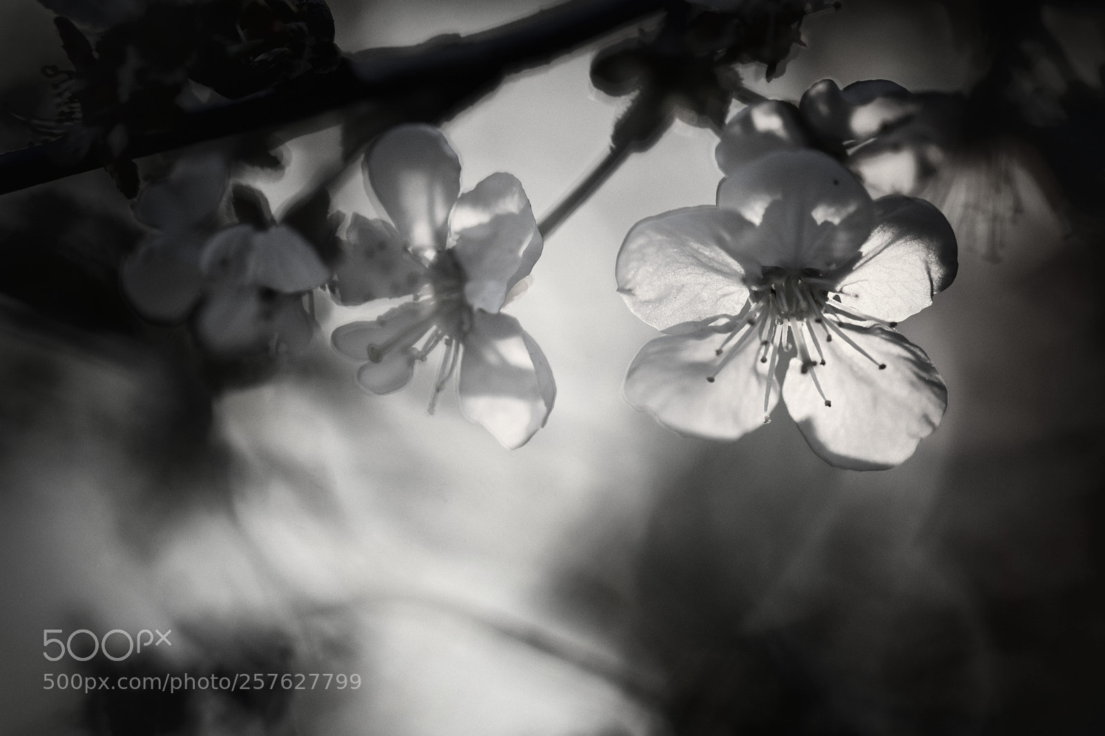 Nikon D7200 sample photo. Evening light photography