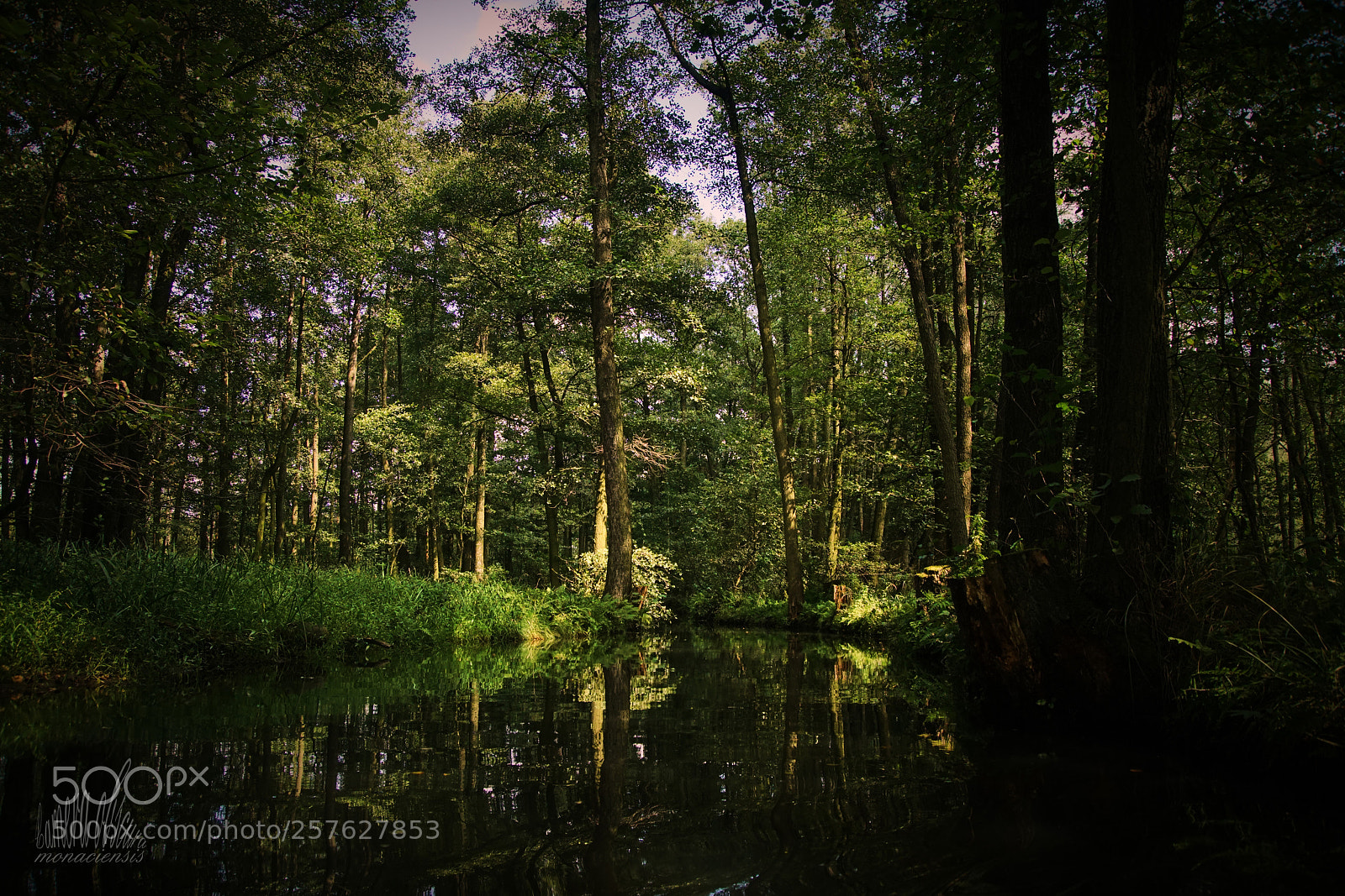 Sony ILCA-77M2 sample photo. Slieln journey photography