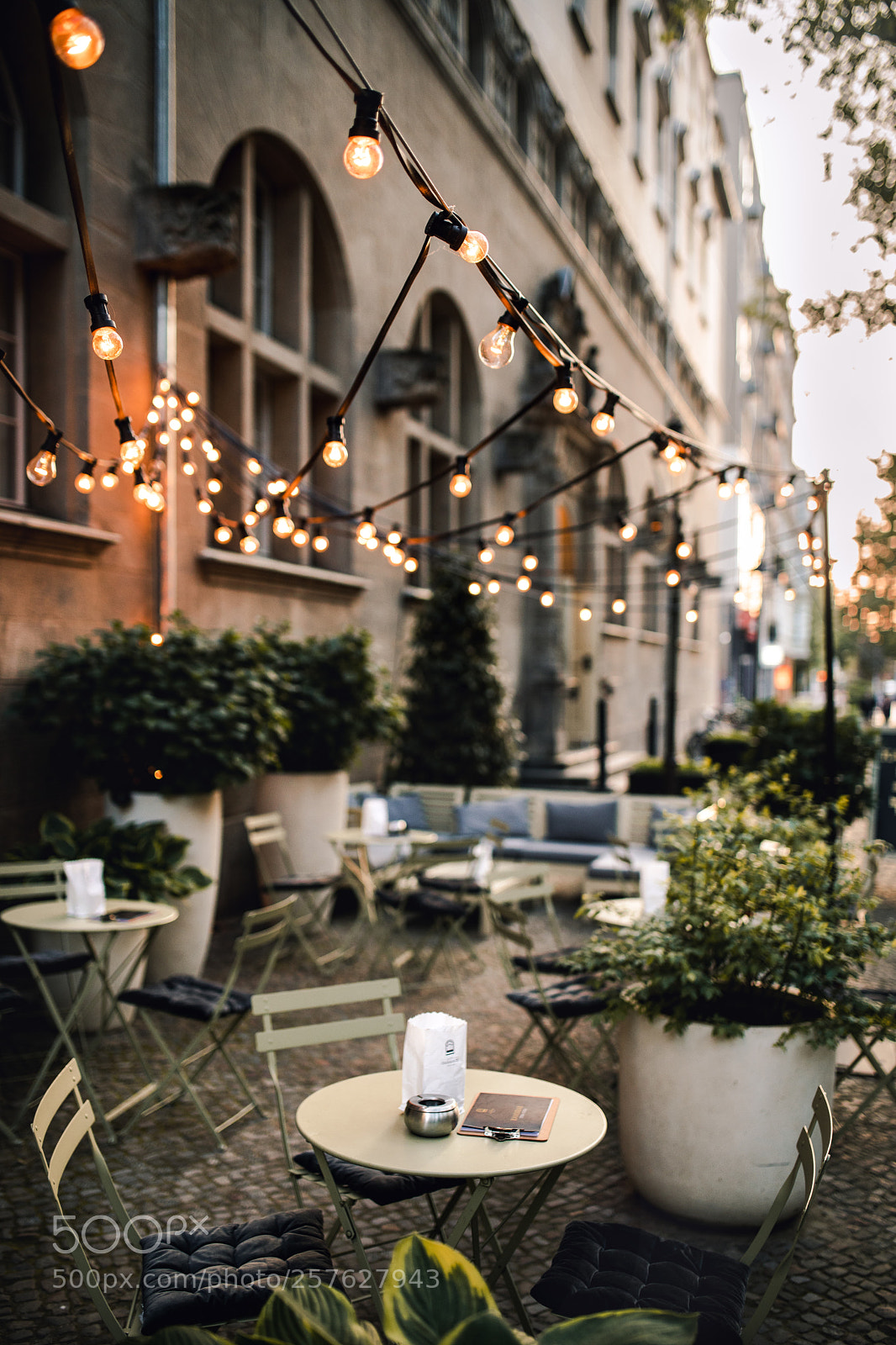 Canon EOS 5D Mark IV sample photo. Follow the light photography