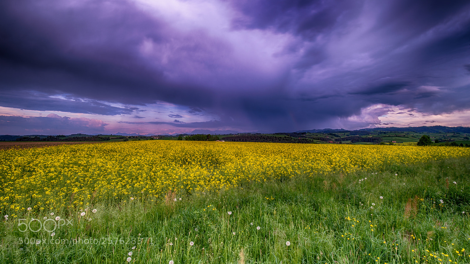 Nikon D610 sample photo. Auswil photography