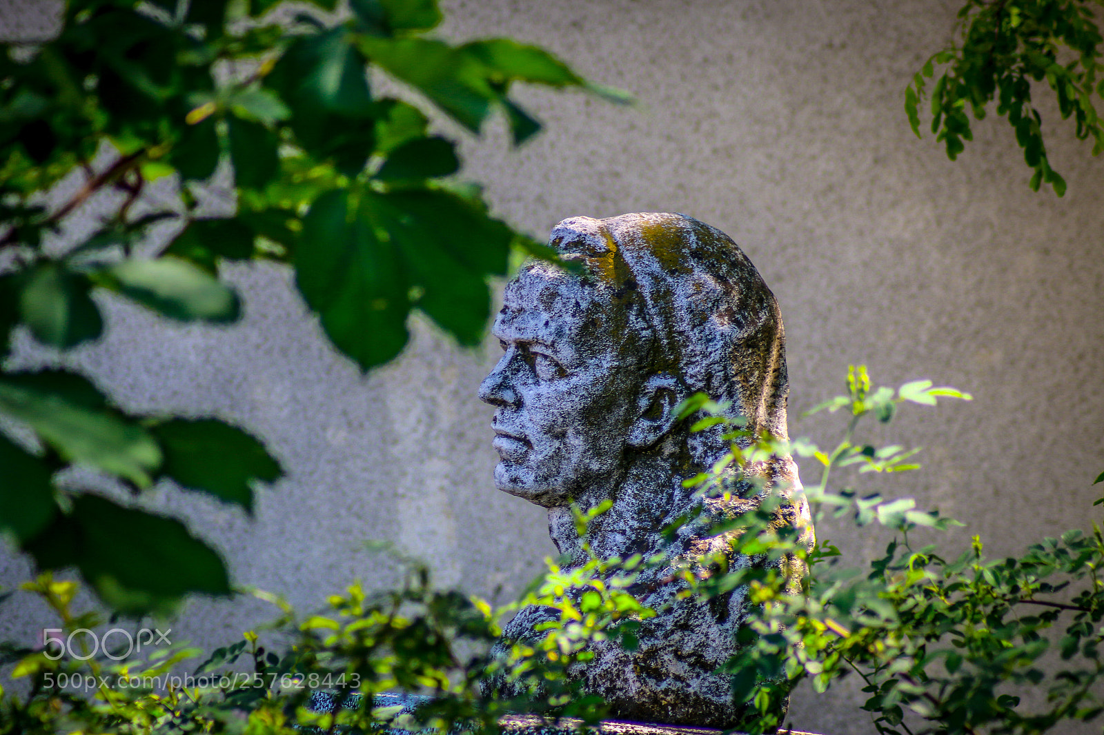 Canon EOS 70D sample photo. Untitled photography