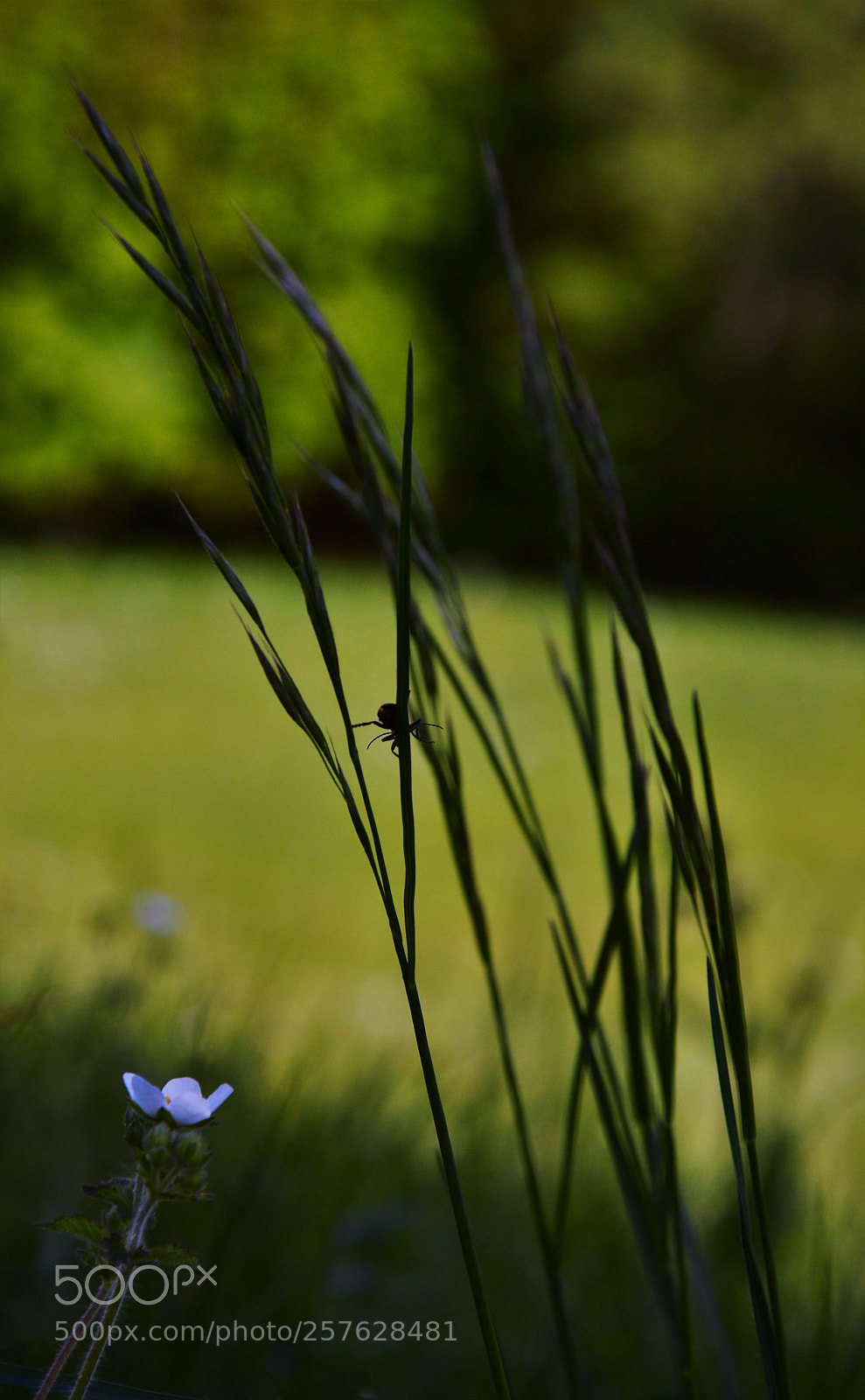 Nikon D3200 sample photo. Untitled photography