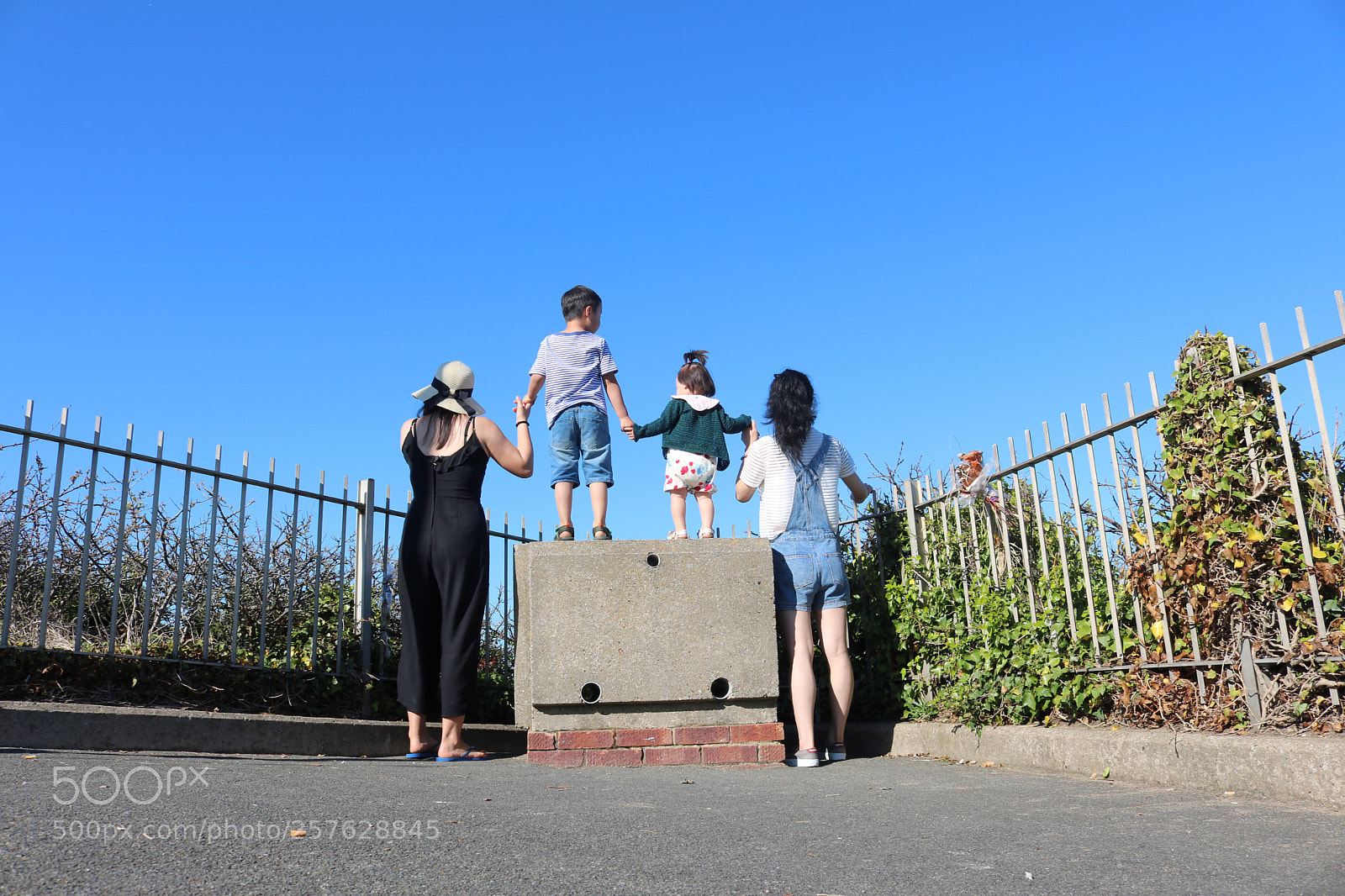 Canon EOS 750D (EOS Rebel T6i / EOS Kiss X8i) sample photo. Untitled photography