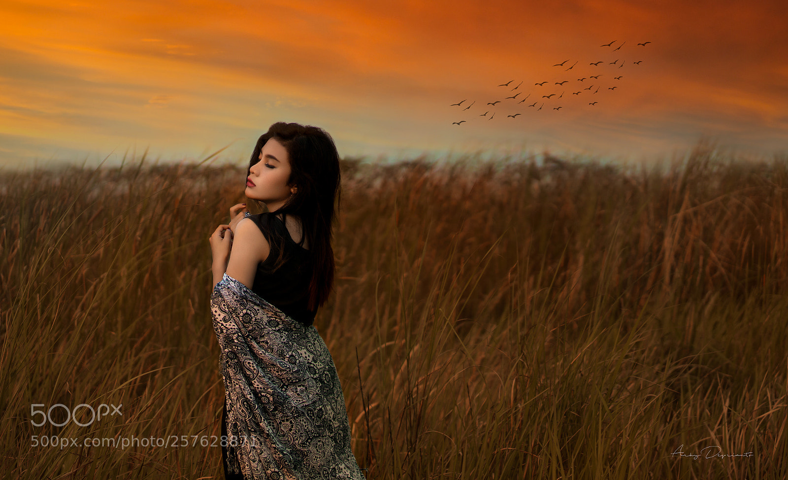 Sony a7 II sample photo. Miss u sunset photography