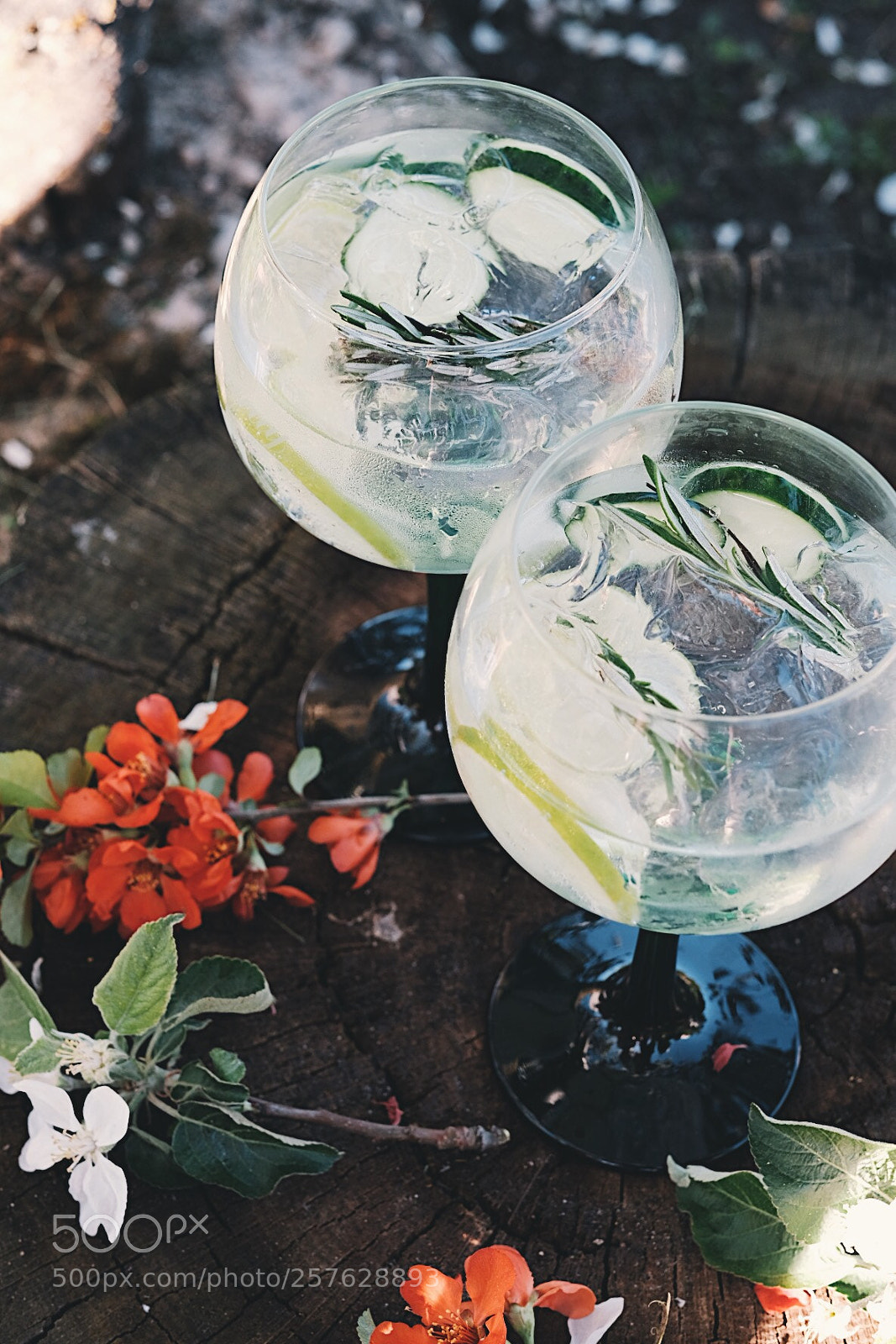 Fujifilm X-T2 sample photo. Gin tonic and almost photography