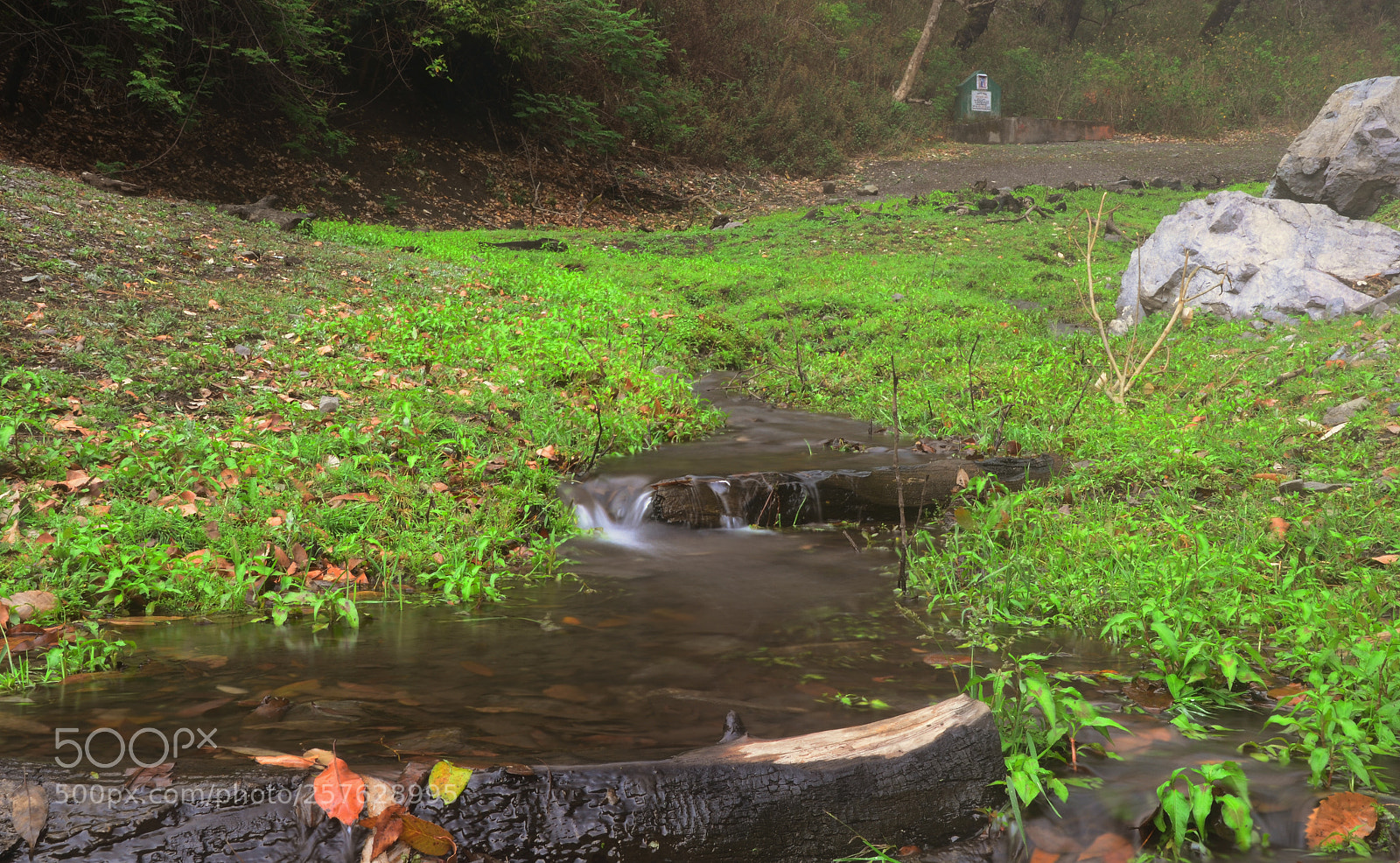Nikon D5100 sample photo. Sattal landscape photography