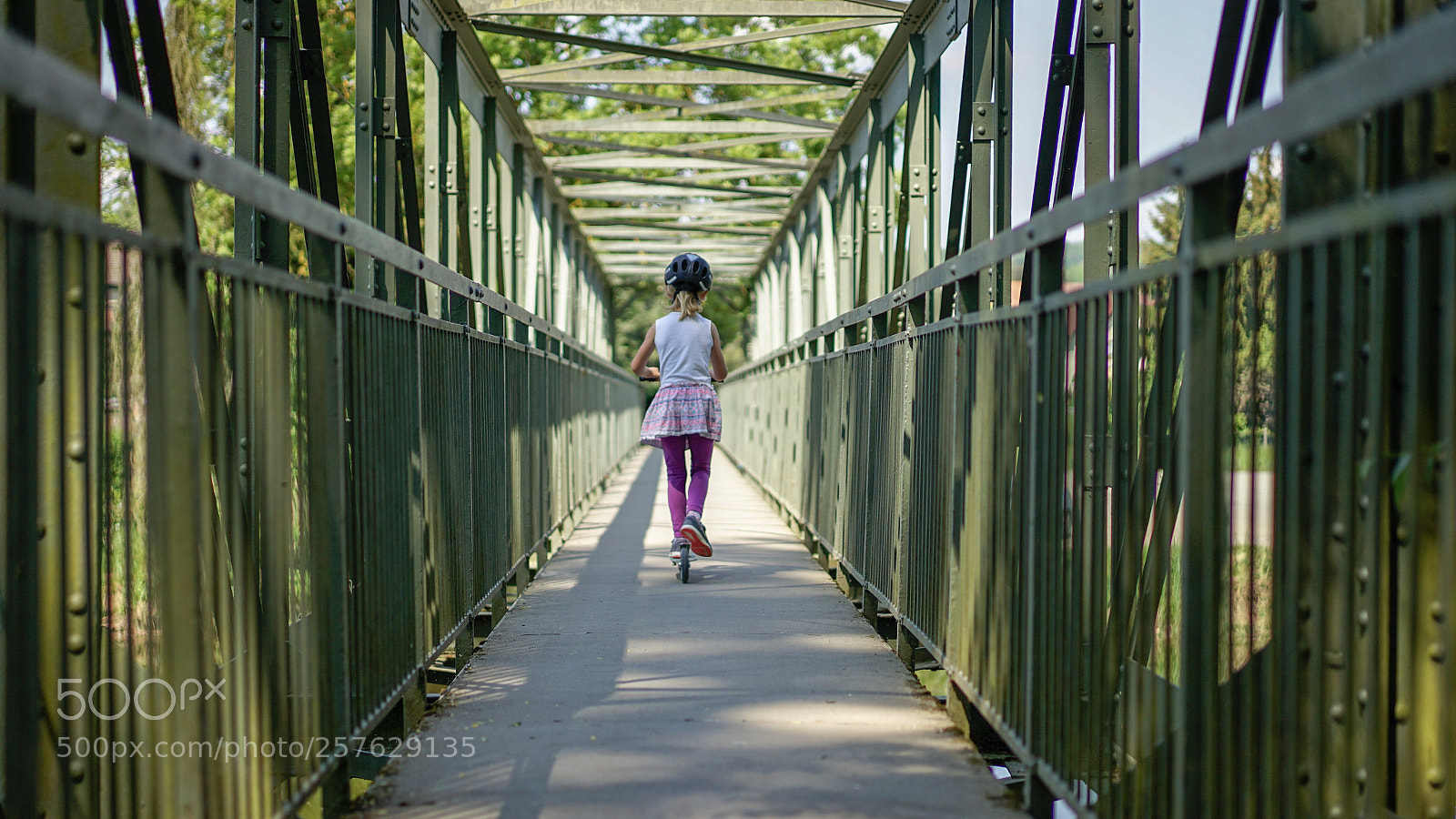 Sony a7 II sample photo. Untitled photography