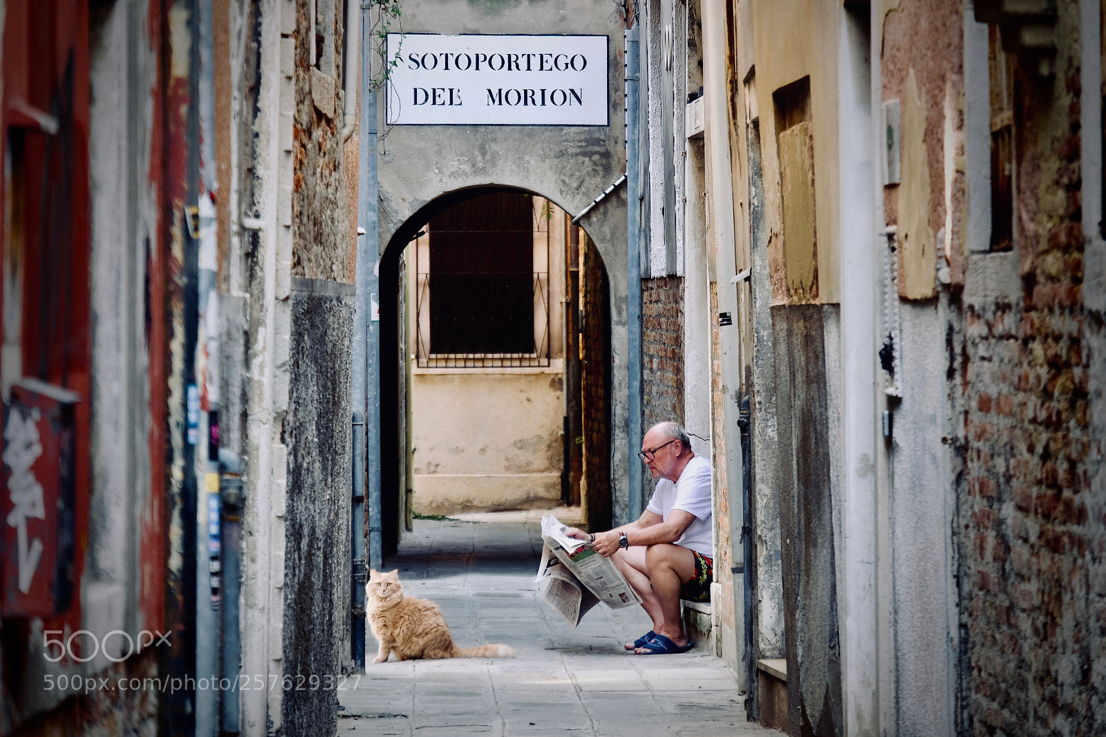 Fujifilm X-T2 sample photo. Venice_cat photography
