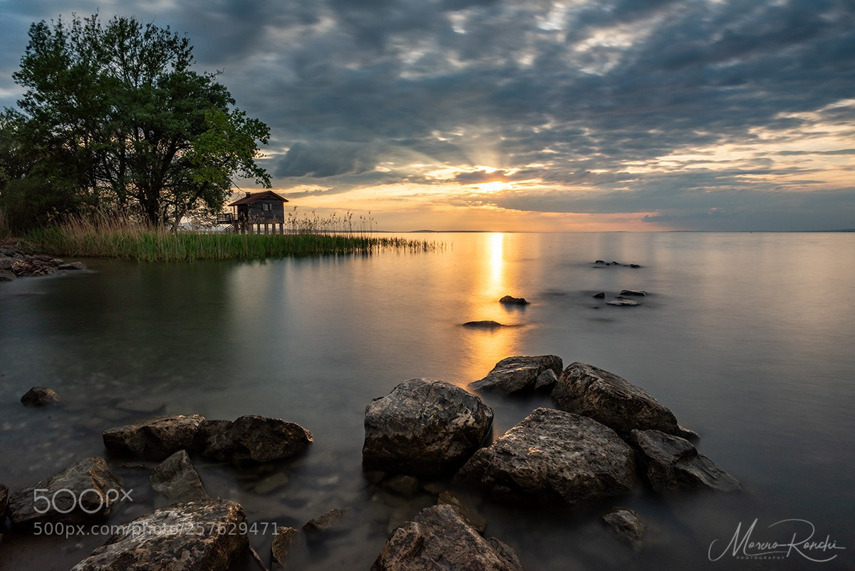 Nikon D810 sample photo. Rohrspitz photography