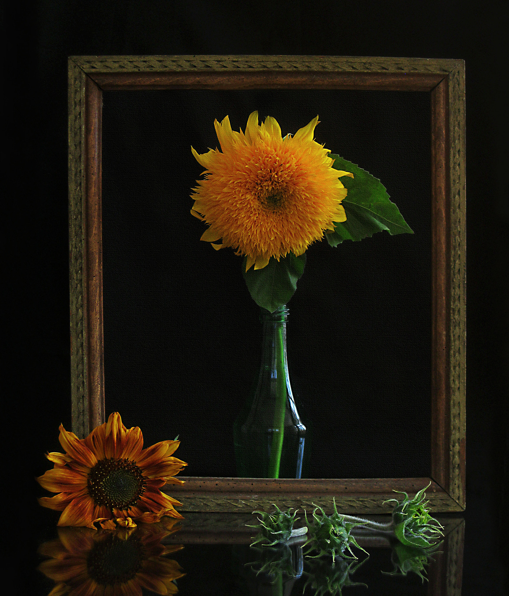Canon PowerShot A3000 IS sample photo. Sunflower portrait photography