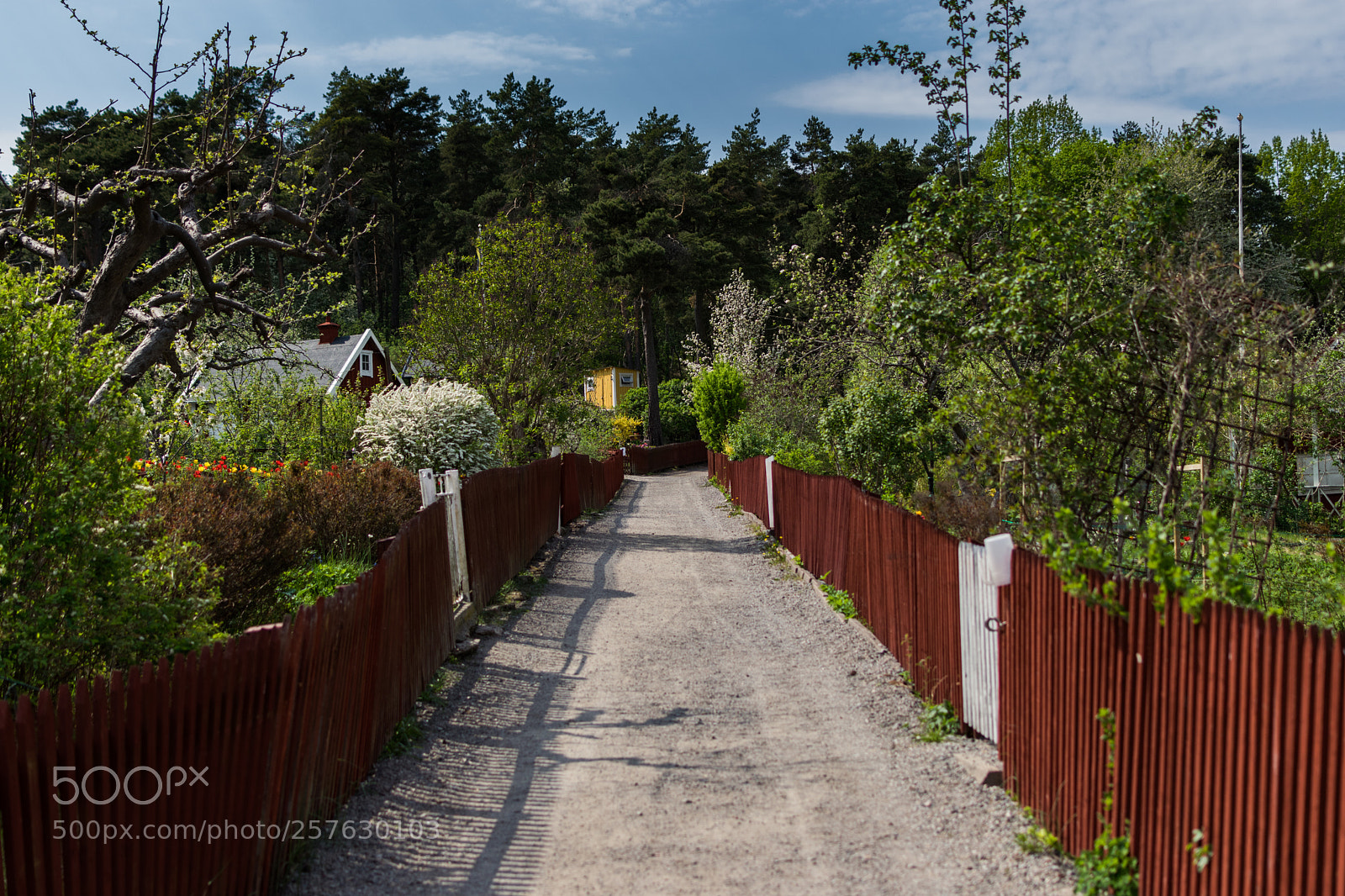 Nikon D3300 sample photo. Vacation houses photography