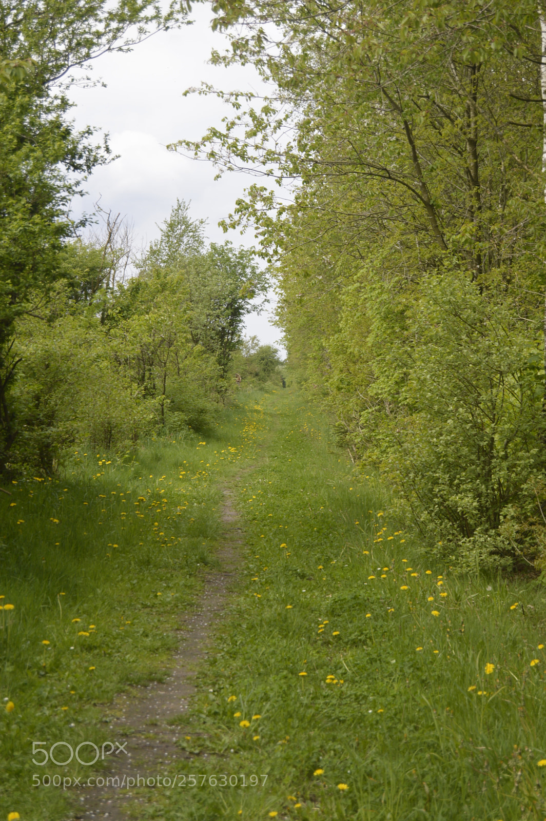 Nikon D3200 sample photo. Natur photography