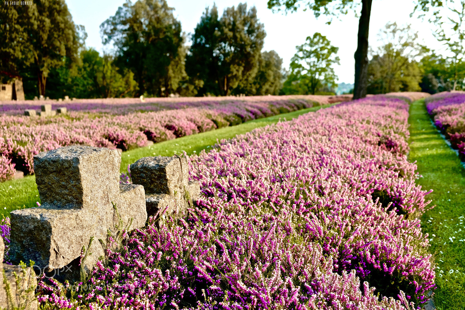 Fujifilm X-T2 sample photo. German war cemetery. photo photography