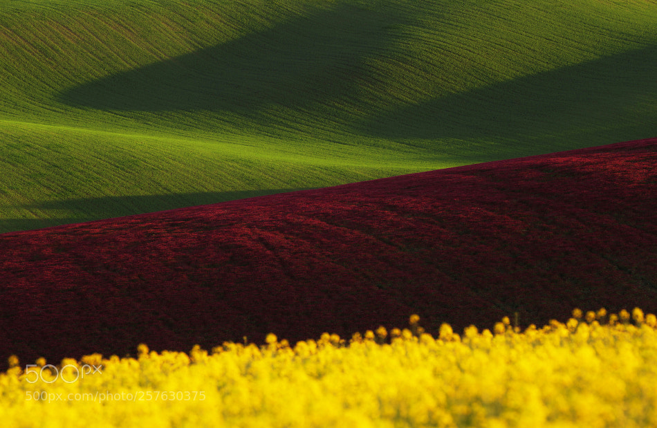 Canon EOS 6D sample photo. South moravia photography
