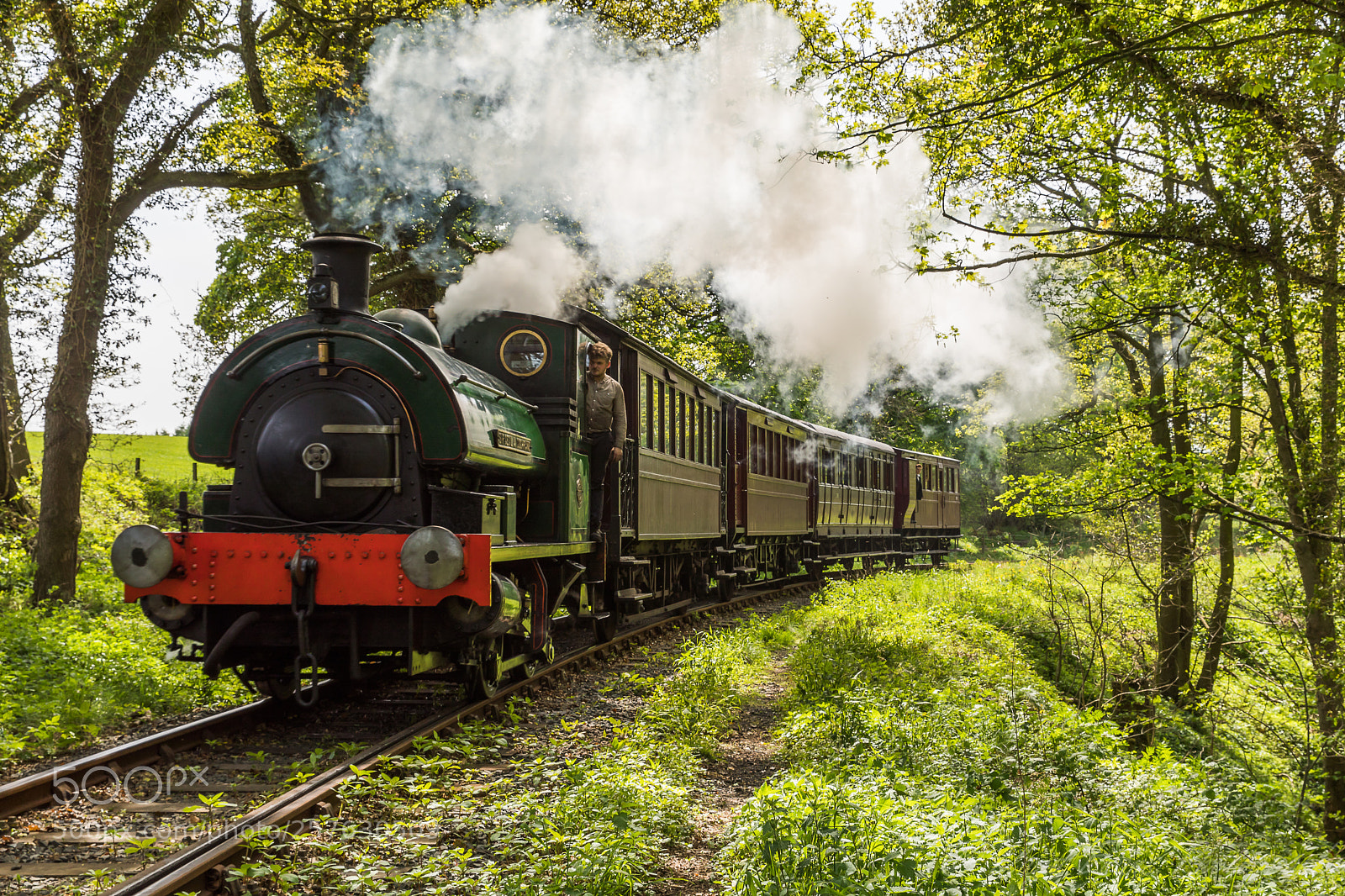 Canon EOS 5D Mark IV sample photo. Steamer photography