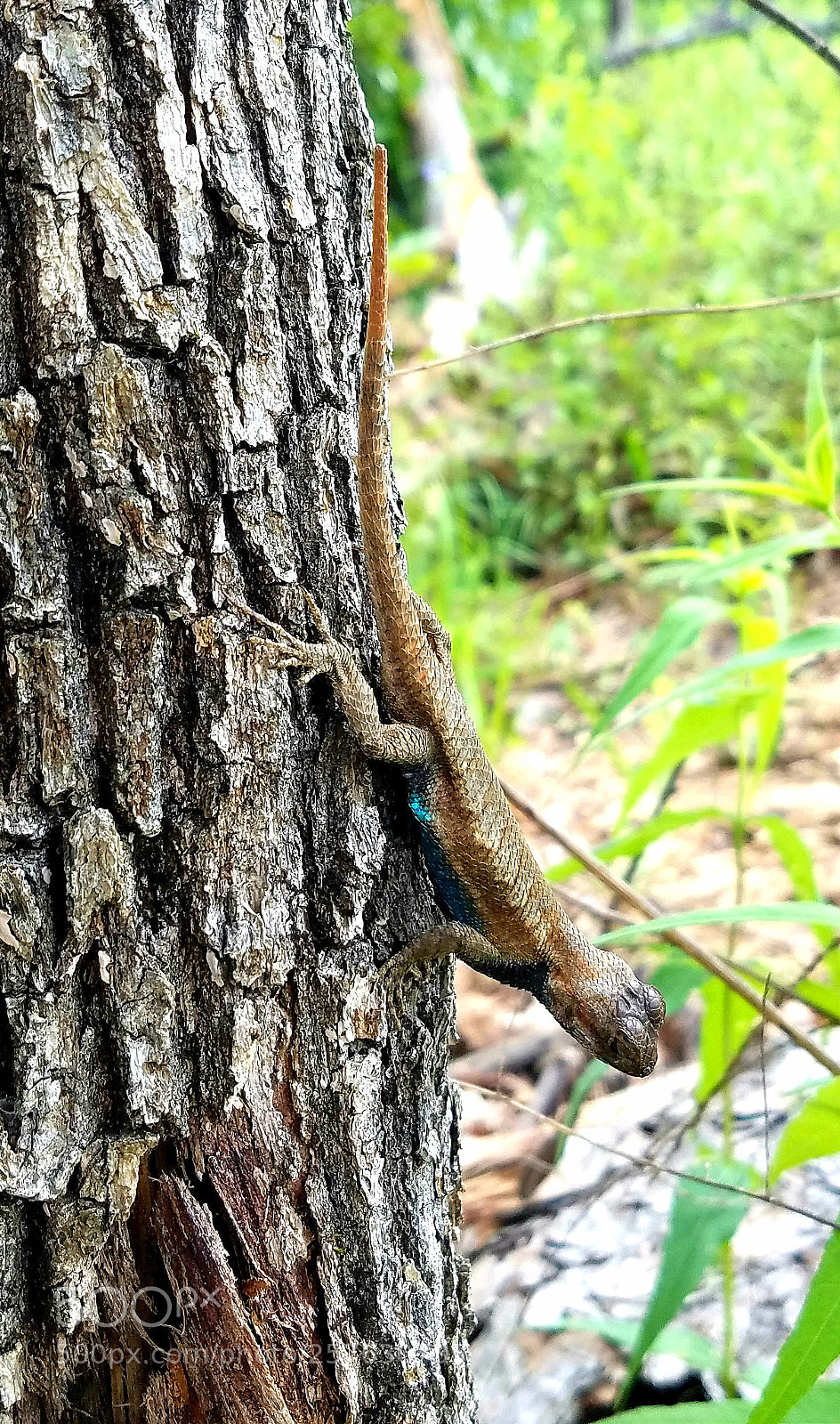 Samsung Galaxy S7 Edge sample photo. Untitled photography