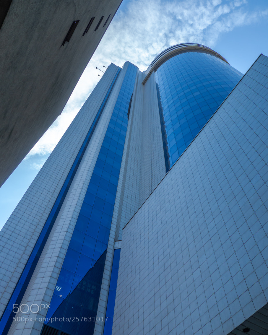 Olympus OM-D E-M10 III sample photo. Up in the sky photography