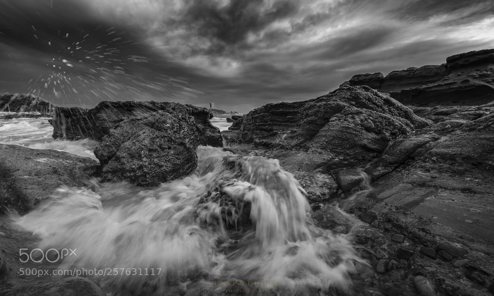 Nikon D850 sample photo. Wild sea photography