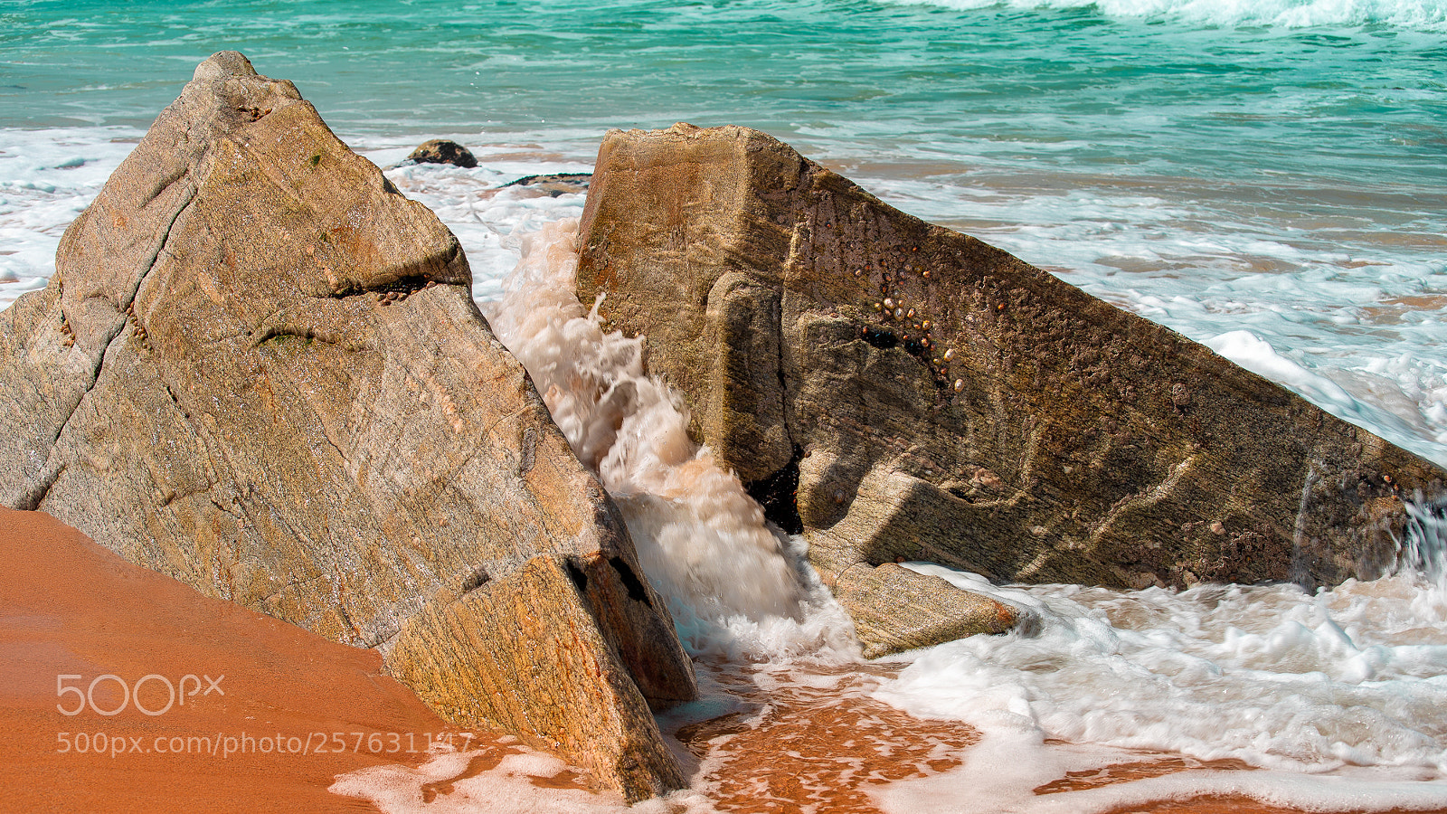 Nikon D750 sample photo. On the border between photography