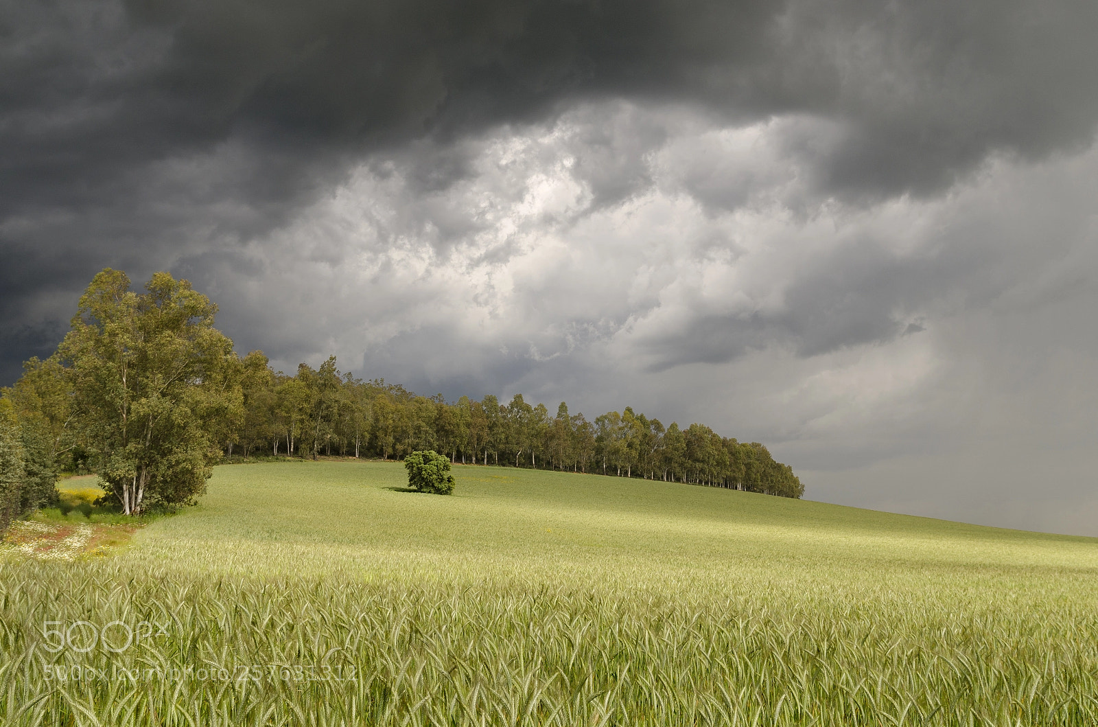 Nikon D7000 sample photo. La tormenta perfecta (ii) photography
