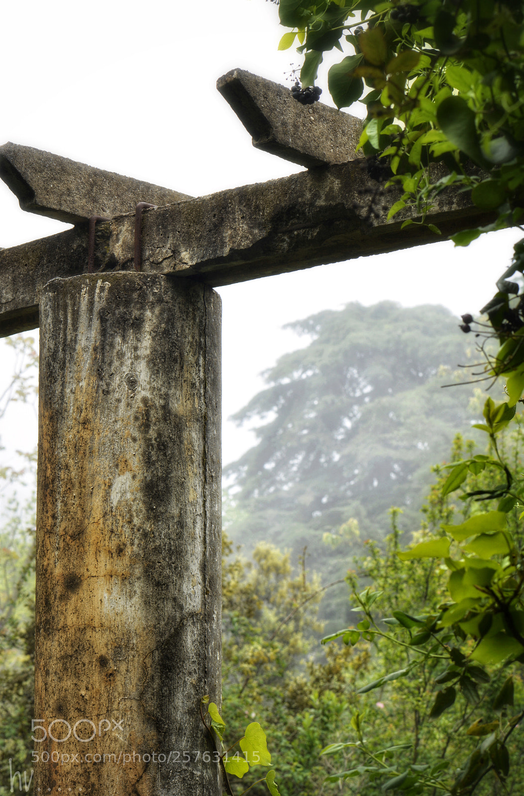 Nikon D7100 sample photo. Gone photography