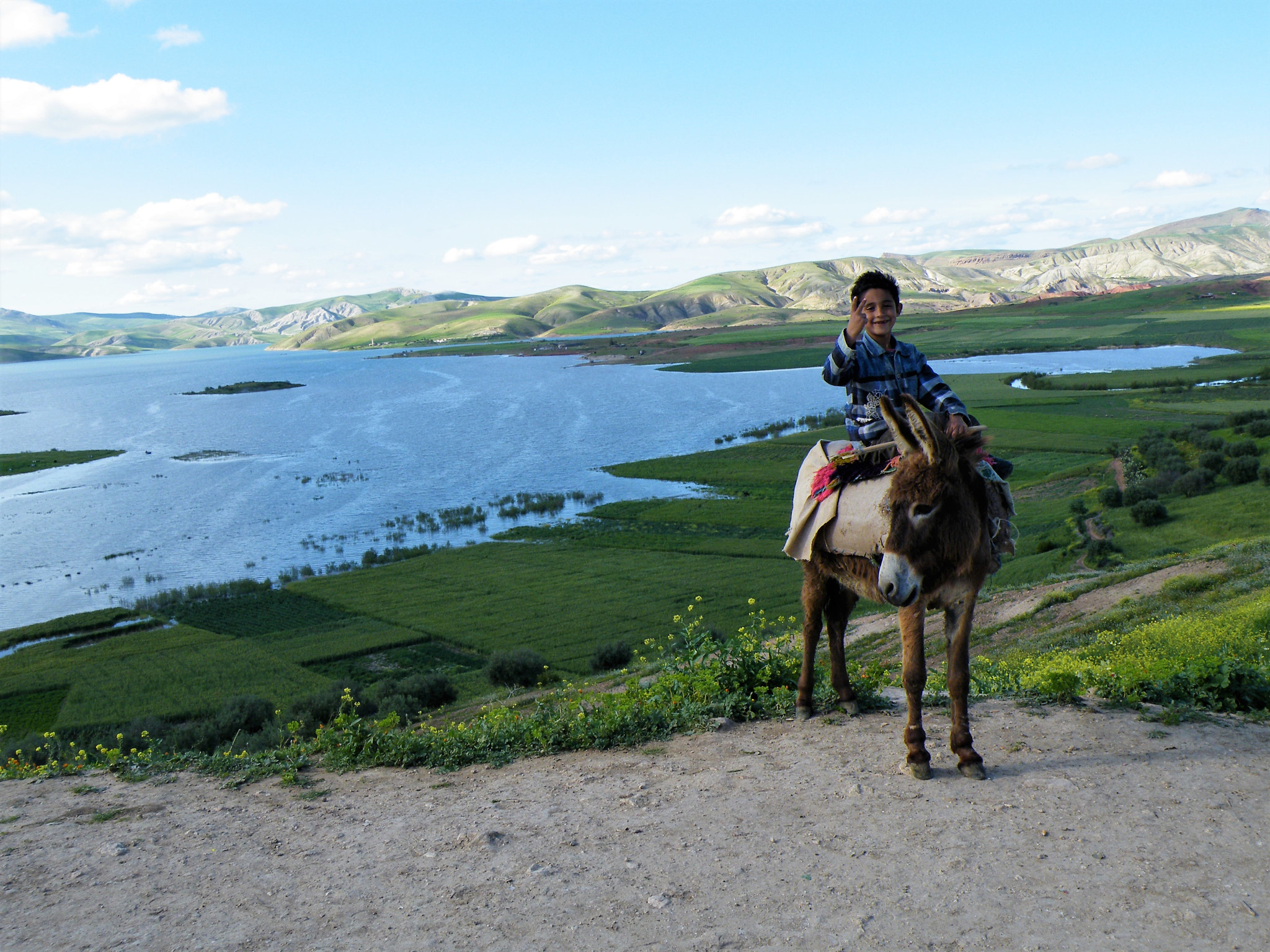 Fujifilm FinePix S8100fd sample photo. Lake, donkey and boy photography