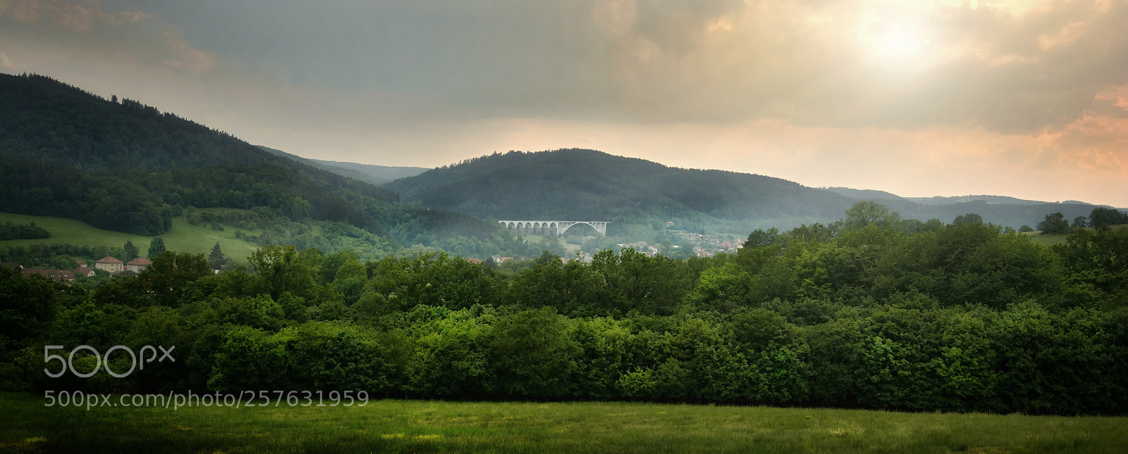 Nikon D7100 sample photo. Untitled photography