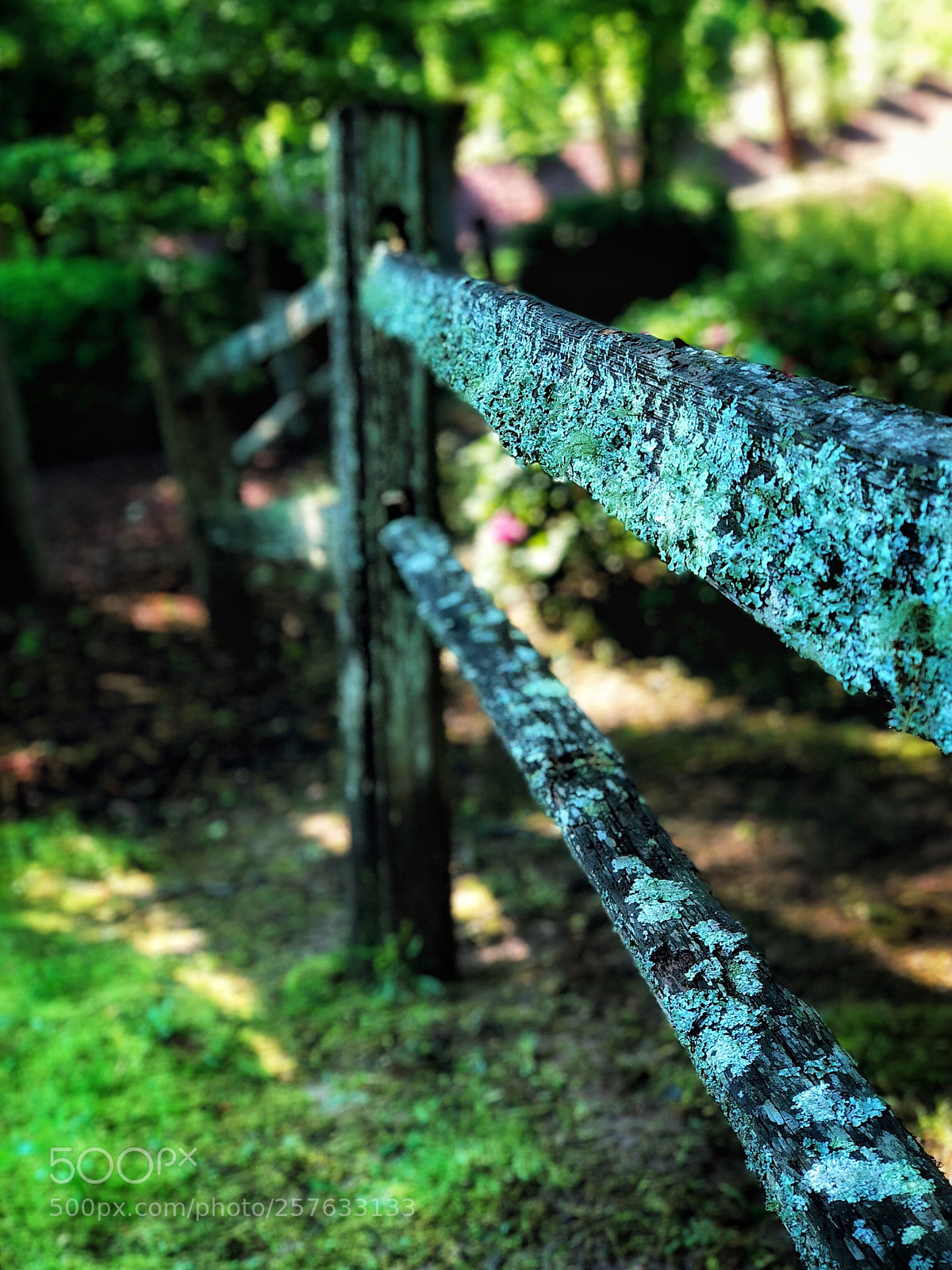 Apple iPhone X sample photo. Untitled photography