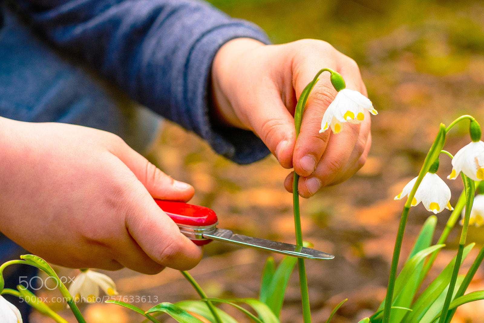 Nikon D7100 sample photo. The boy holding a photography