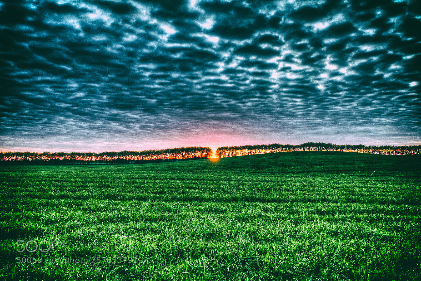 Canon EOS 70D sample photo. The last light dancing photography