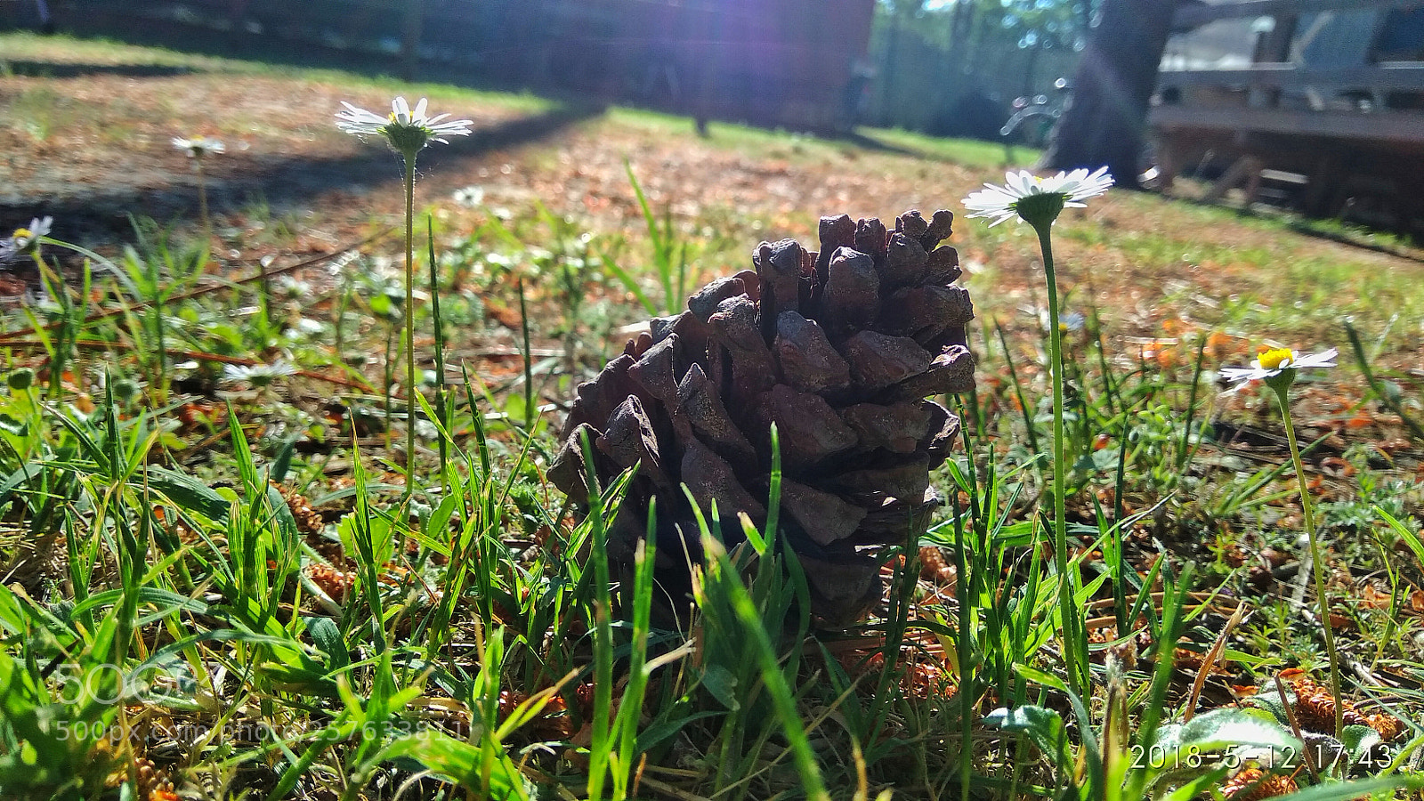 Xiaomi Redmi Note 4 sample photo. Untitled photography