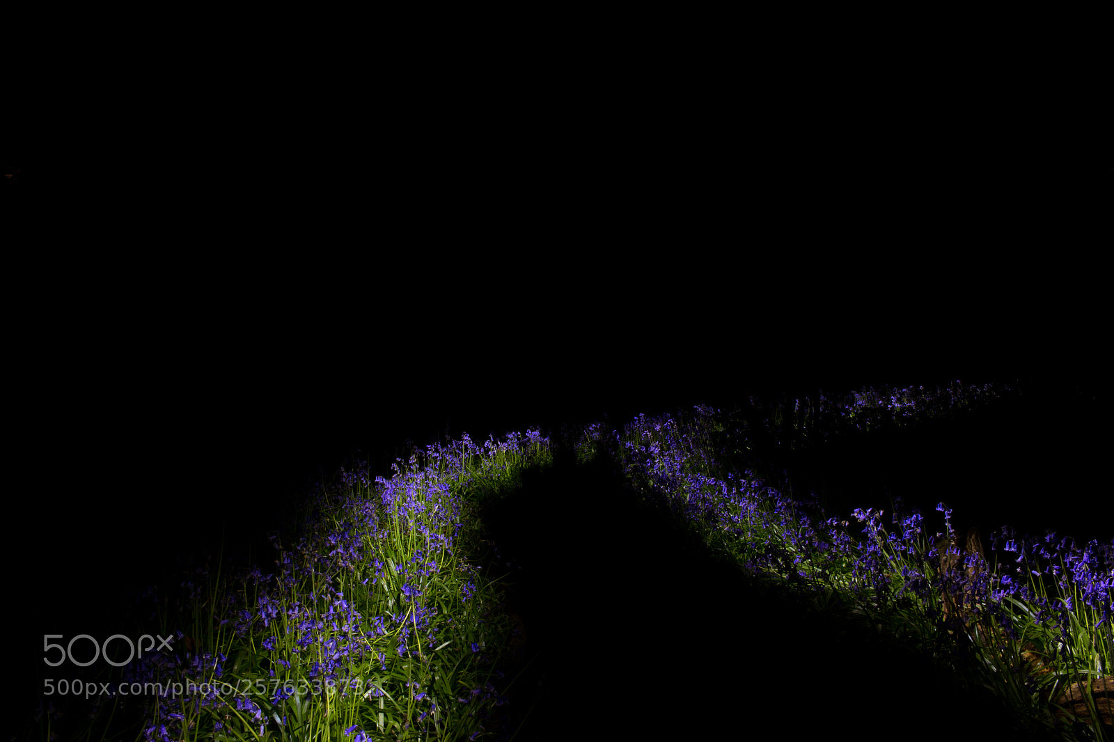 Canon EOS 70D sample photo. Blue track photography
