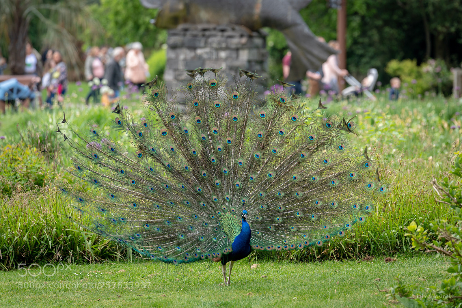 Sony a7R III sample photo. Paon photography