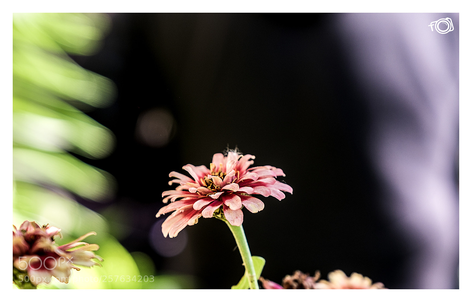 Fujifilm X-E2 sample photo. Untitled photography