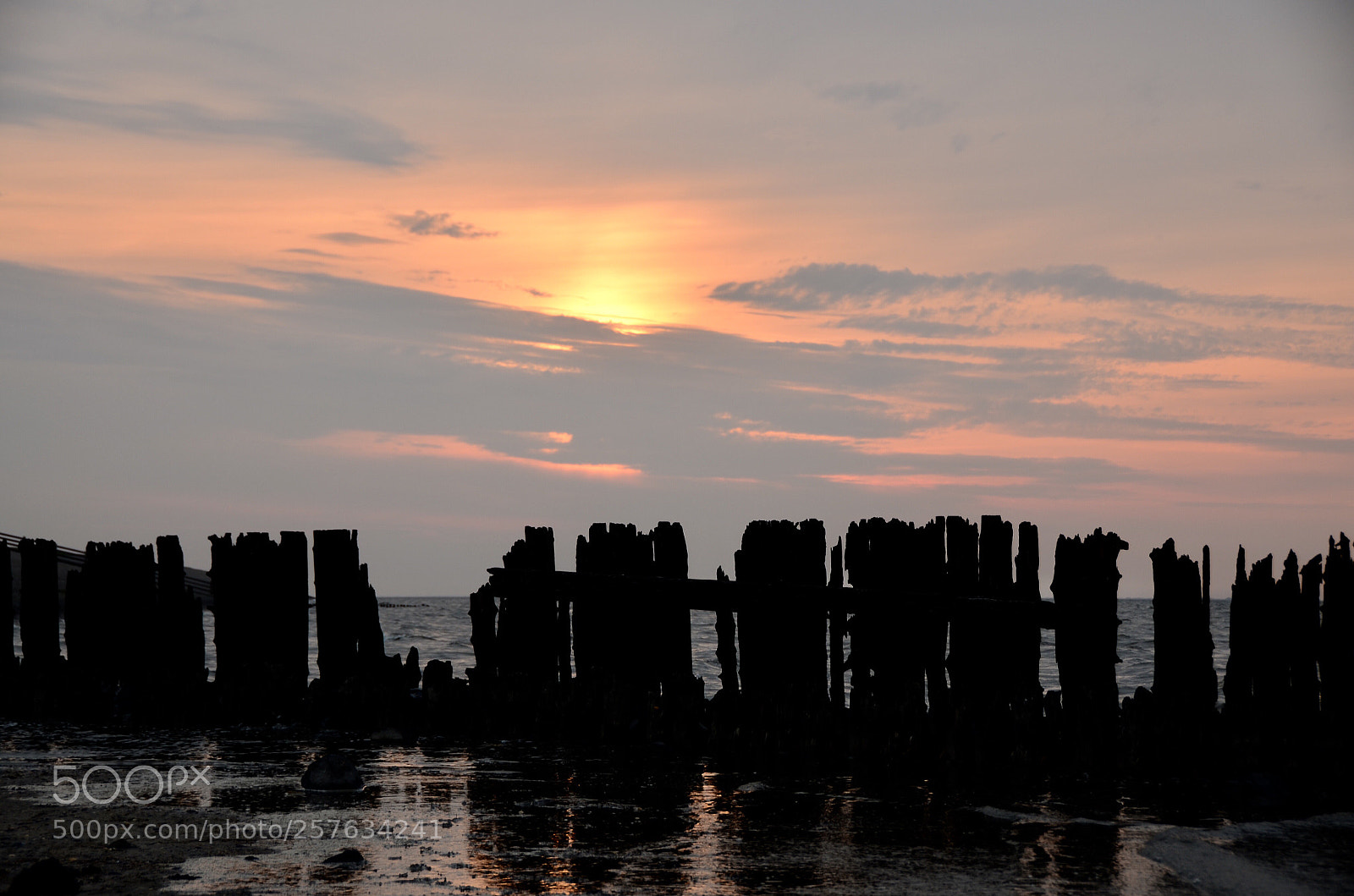 Nikon D5100 sample photo. Paesens nederland photography