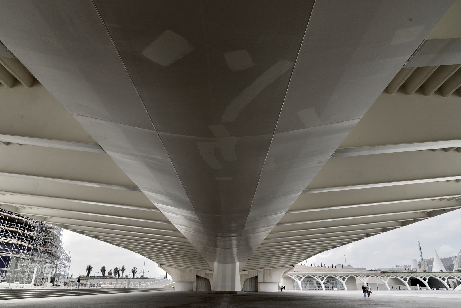 Nikon D610 sample photo. Under the bridge photography