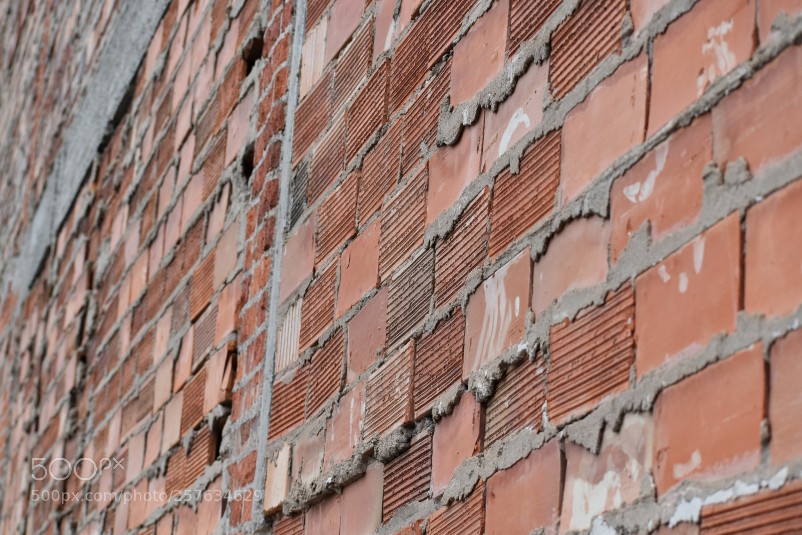 Nikon D5500 sample photo. Just another brick in photography