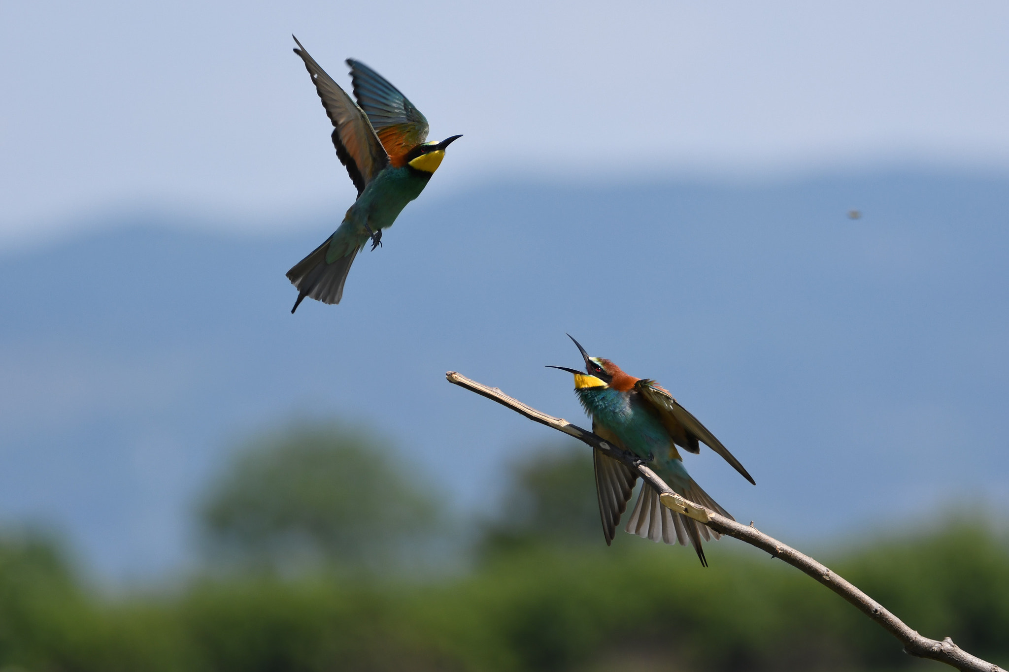 Nikon D7500 sample photo. Air defences photography
