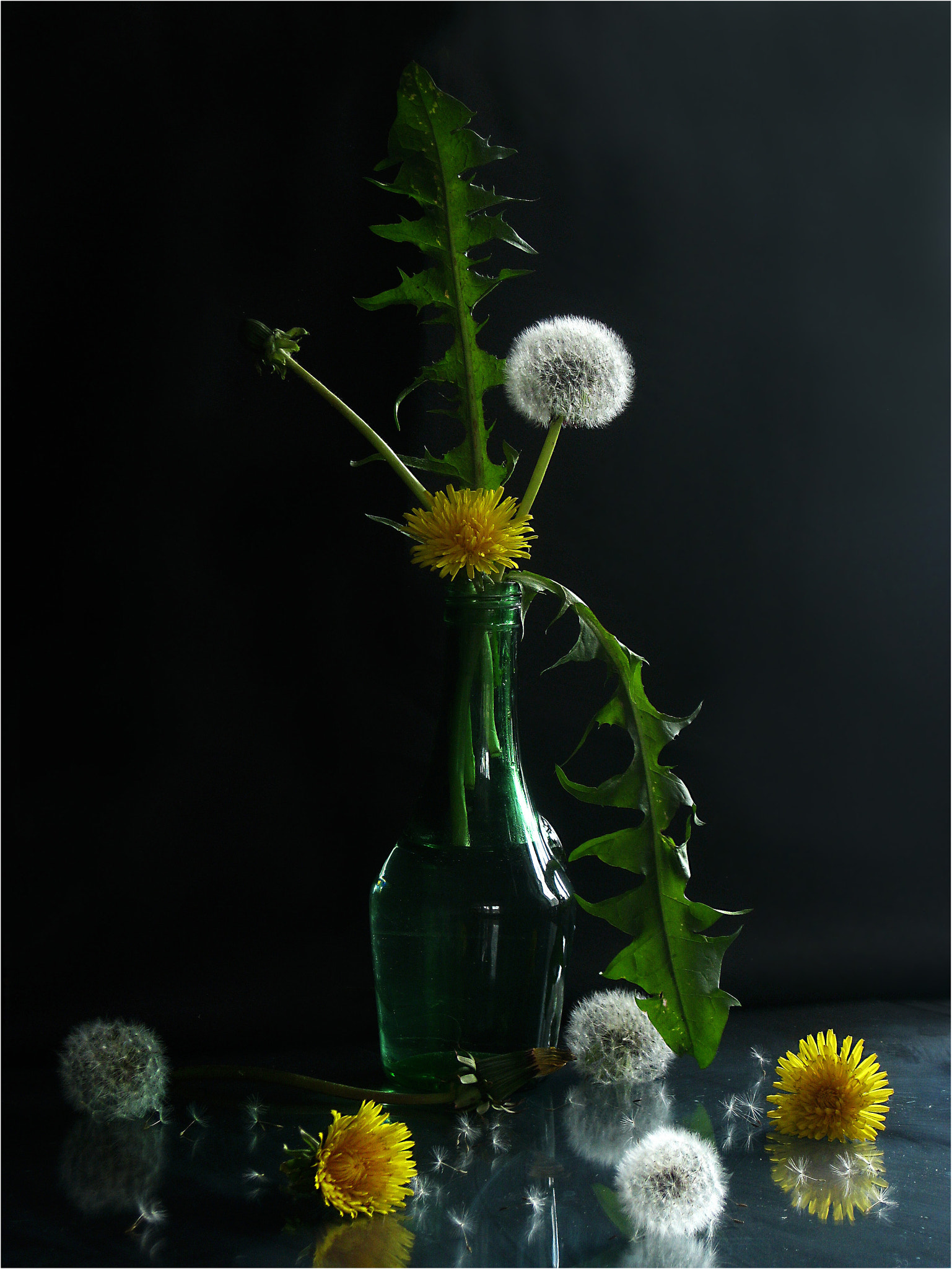 Canon PowerShot A3000 IS sample photo. Bottle with dandelion photography