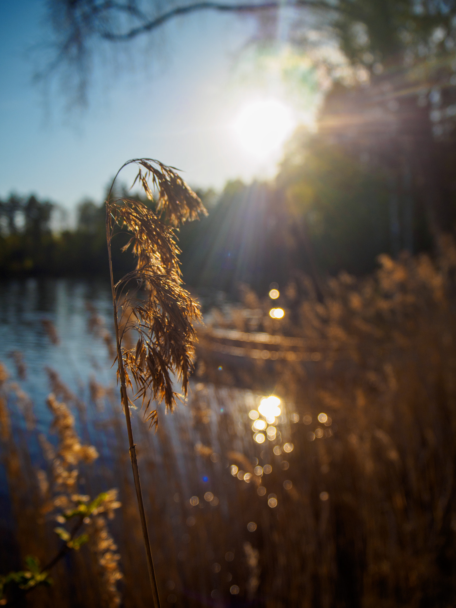 Olympus PEN E-PL7 sample photo. First warm summer evening after winter photography