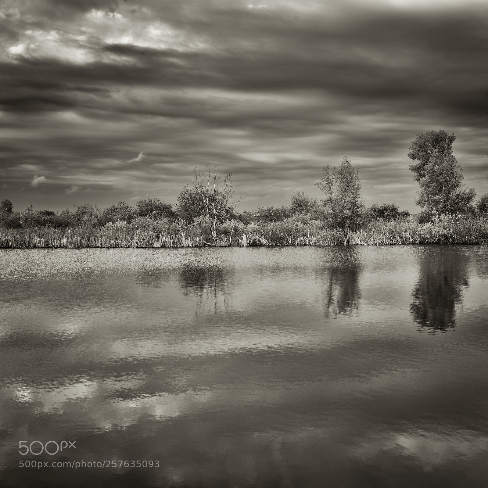 Nikon D7100 sample photo. Black and white mood photography