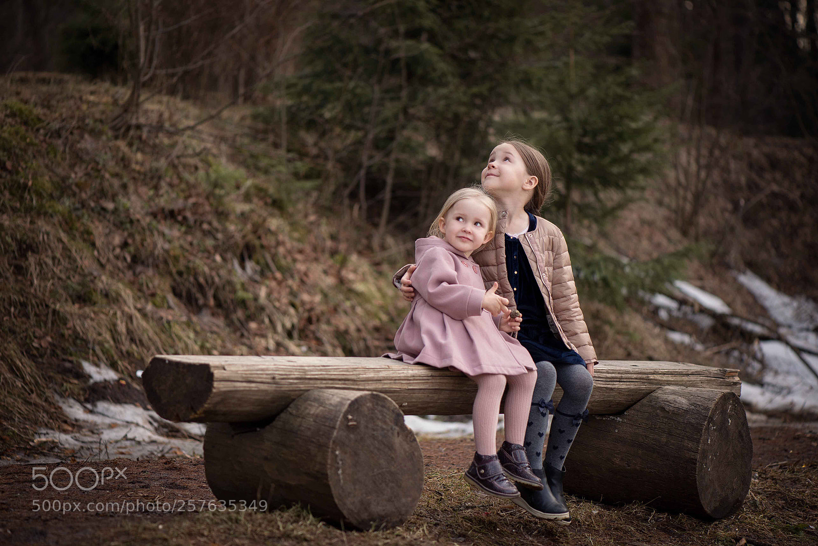 Nikon D610 sample photo. Untitled photography